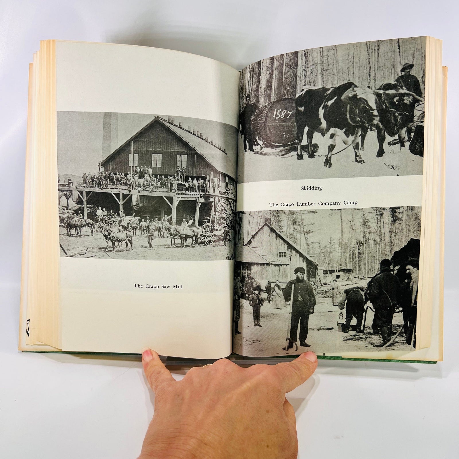 Lumberman From Flint by Martin D. Lewis 1958 Wayne State University Press Vintage Book