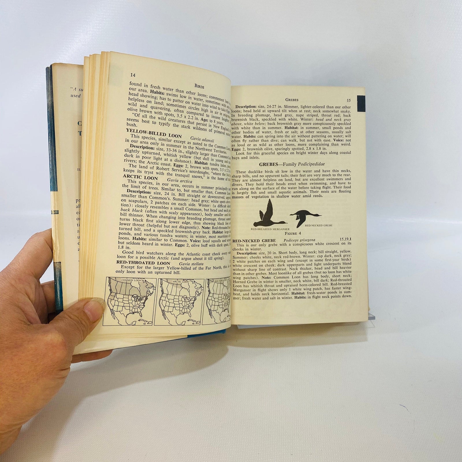 Complete Field Guide to American Wildlife by Henry Hill Collins 1959