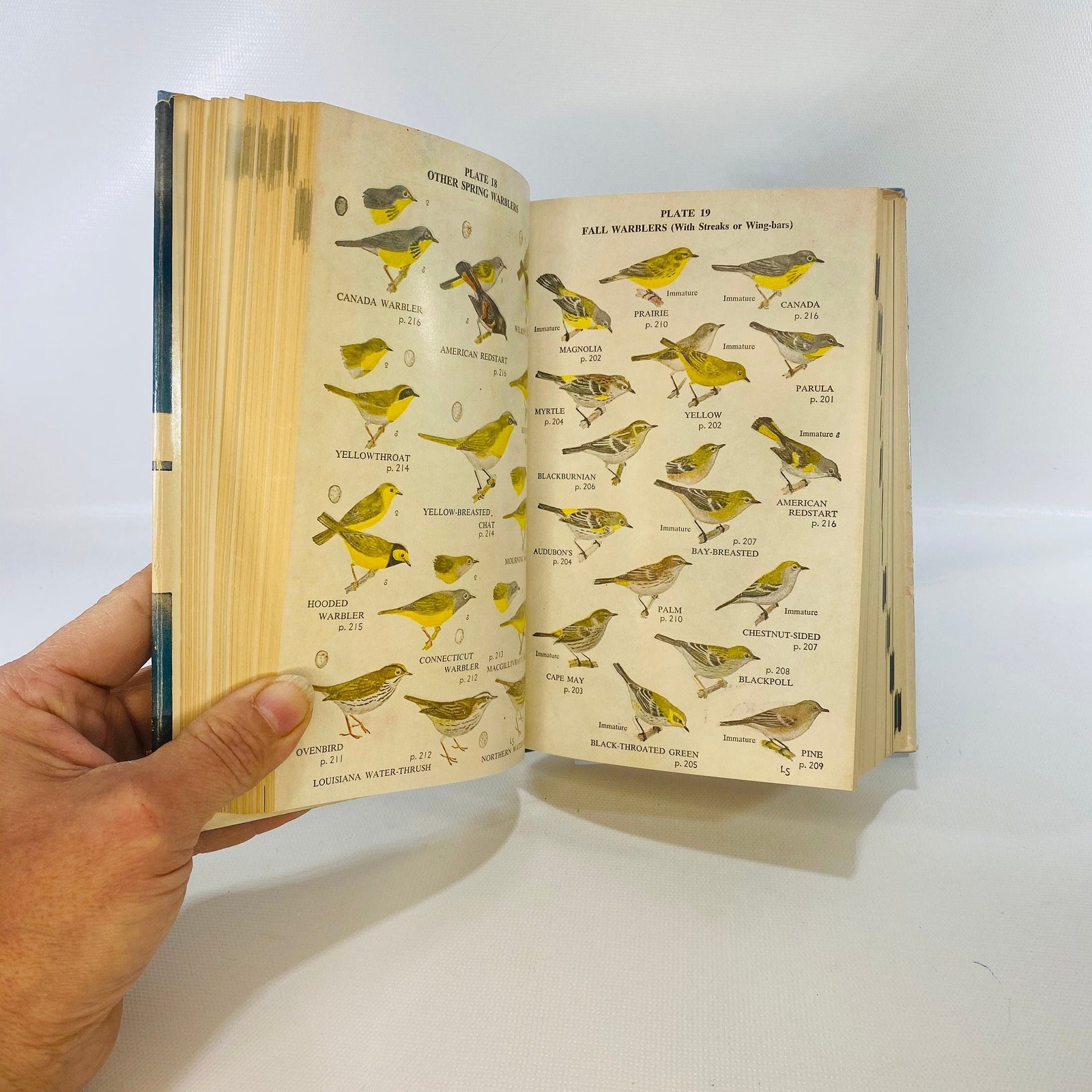 Complete Field Guide to American Wildlife by Henry Hill Collins 1959