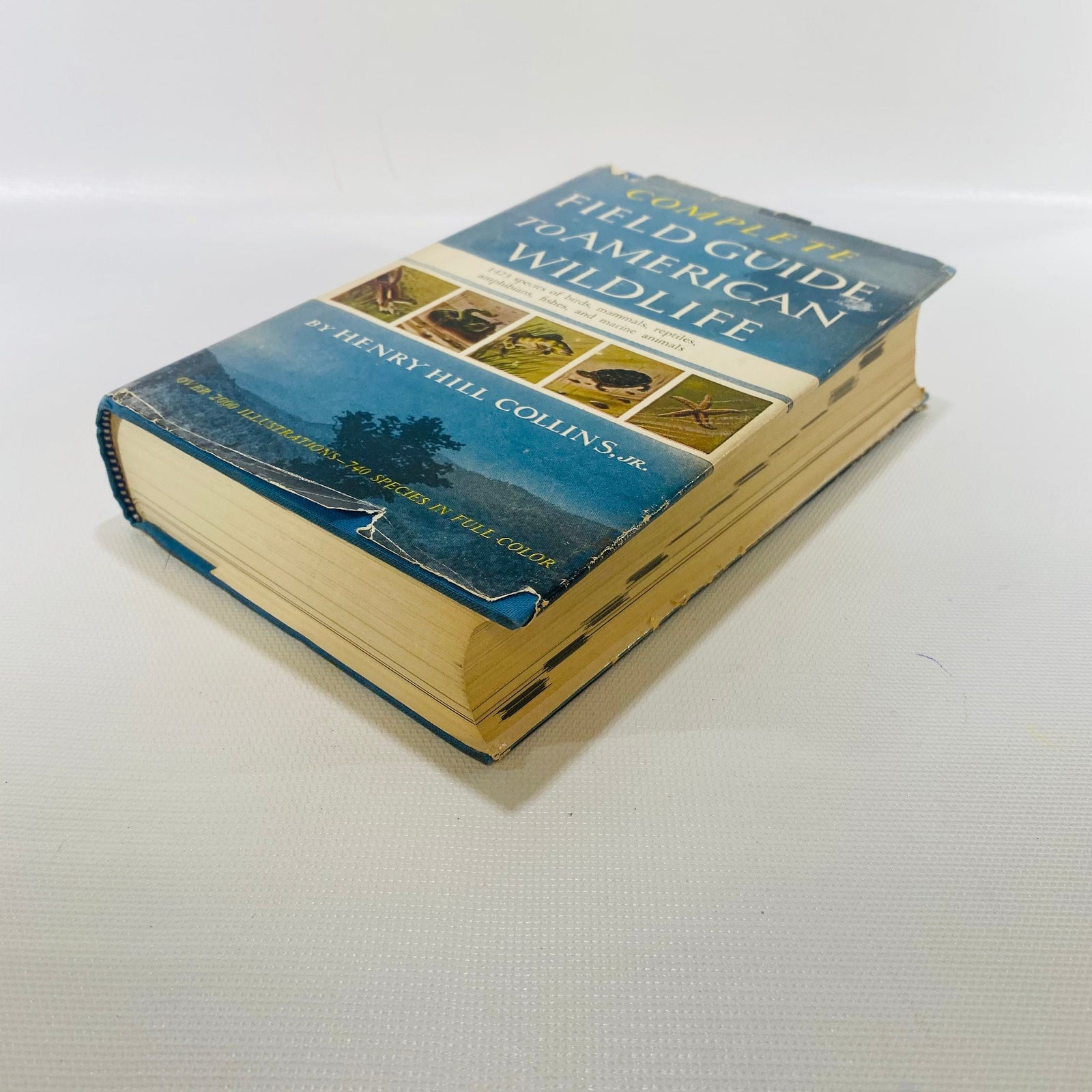 Complete Field Guide to American Wildlife by Henry Hill Collins 1959