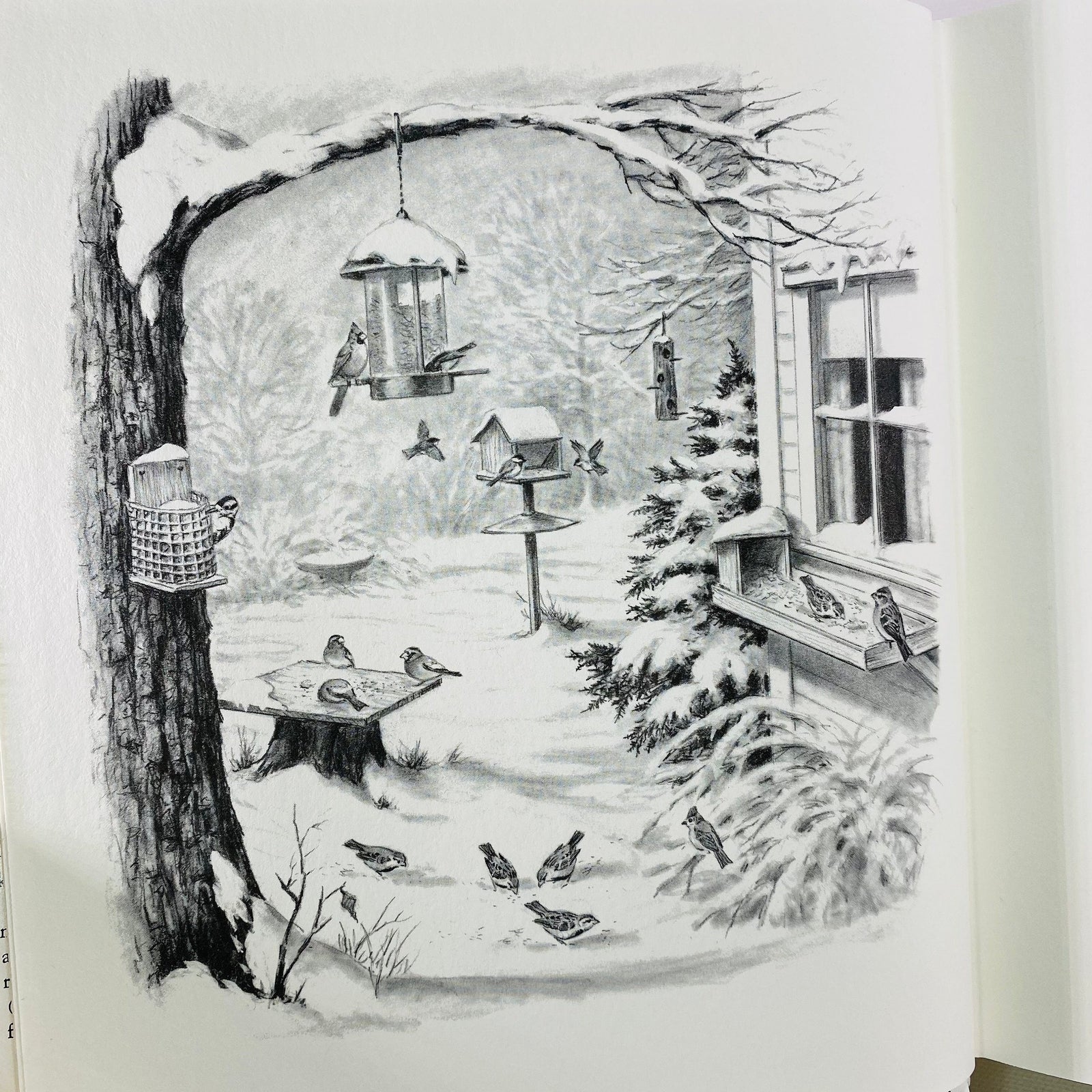 A Complete Guide to Bird Feeding by John Dennis 1975 Vintage Book