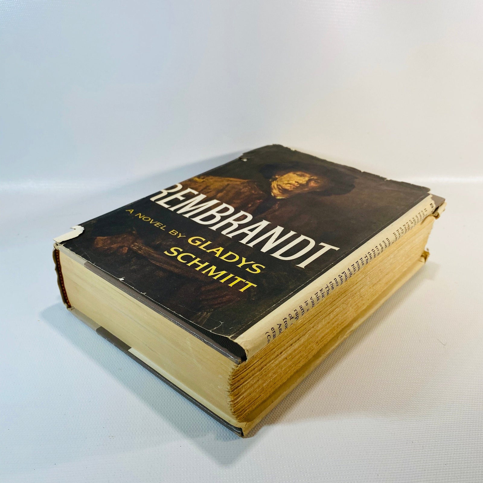 Rembrandt A Novel by Gladys Schmitt 1961