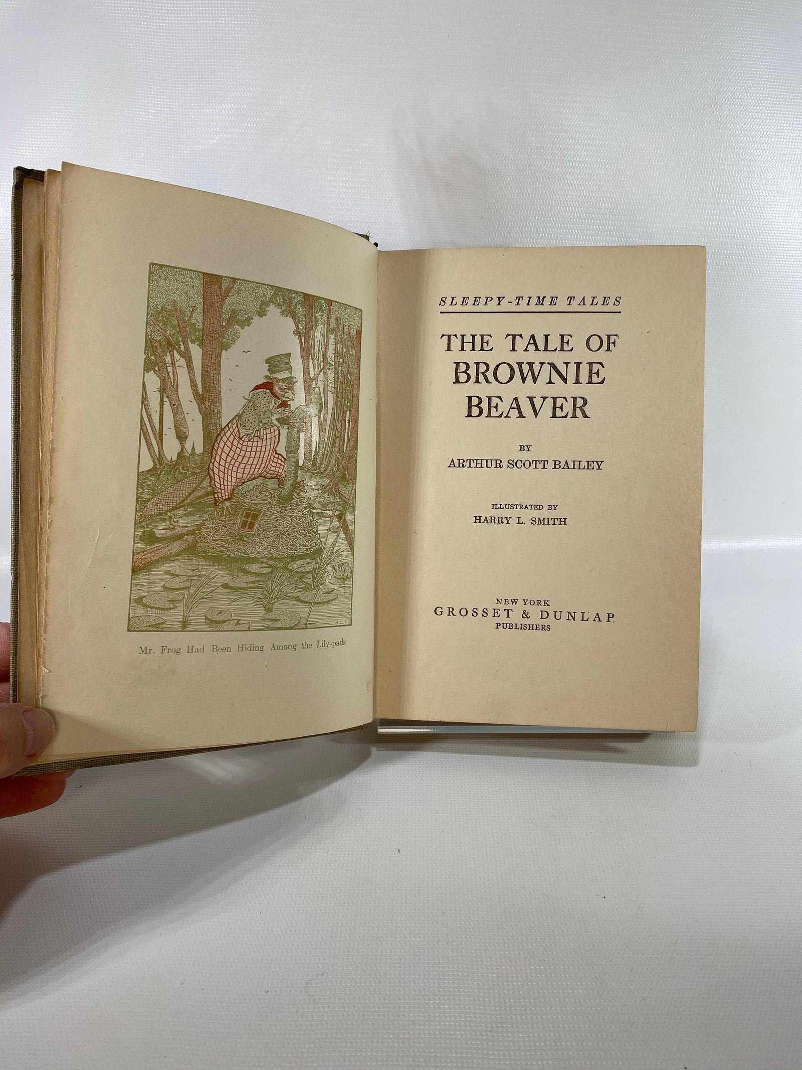 The Tale of Brownie Beaver by Arthur Scott Bailey 1916 Sleepy Time Tales Grosset & DunlapVintage Book