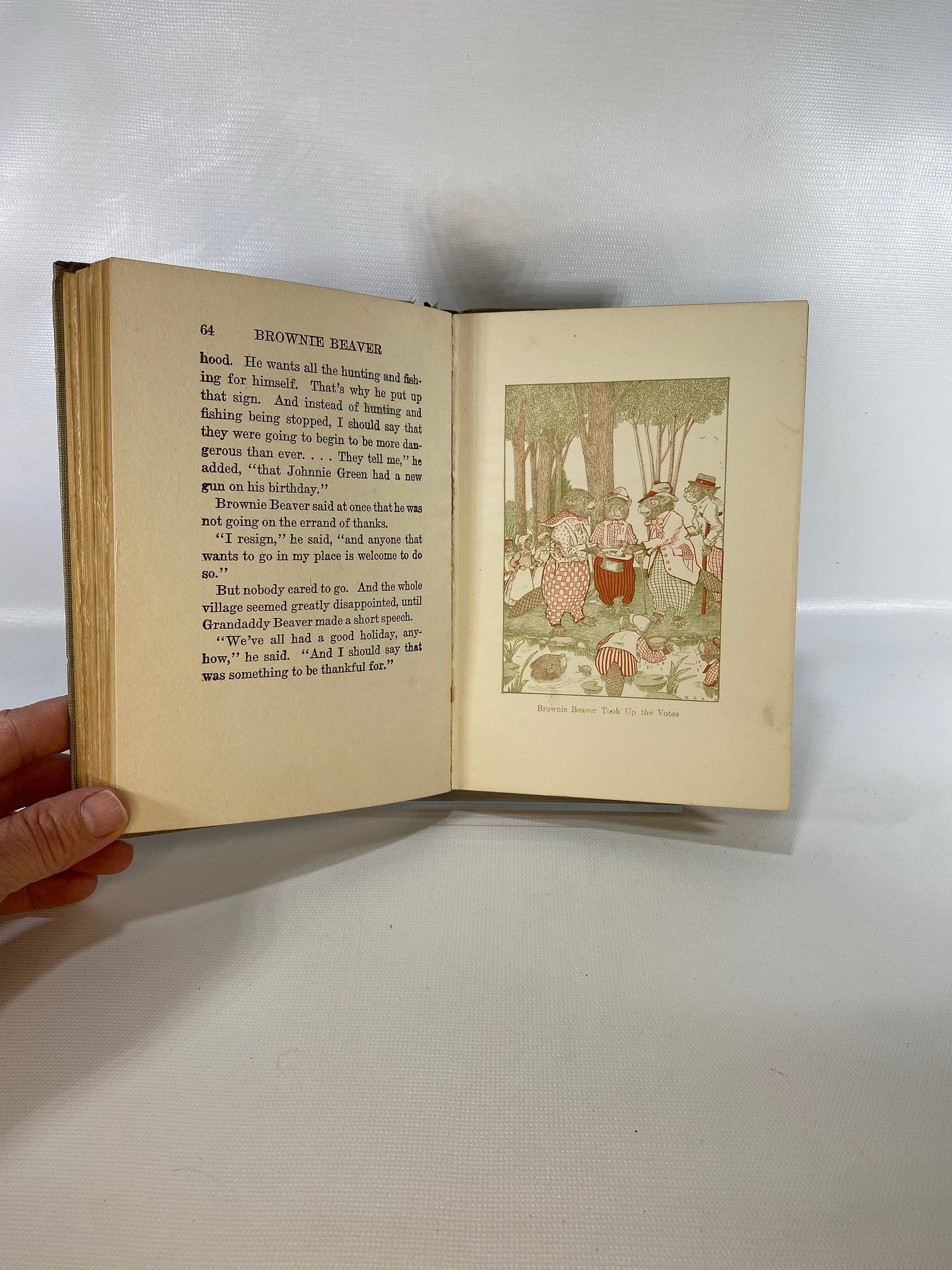 The Tale of Brownie Beaver by Arthur Scott Bailey 1916 Sleepy Time Tales Grosset & DunlapVintage Book