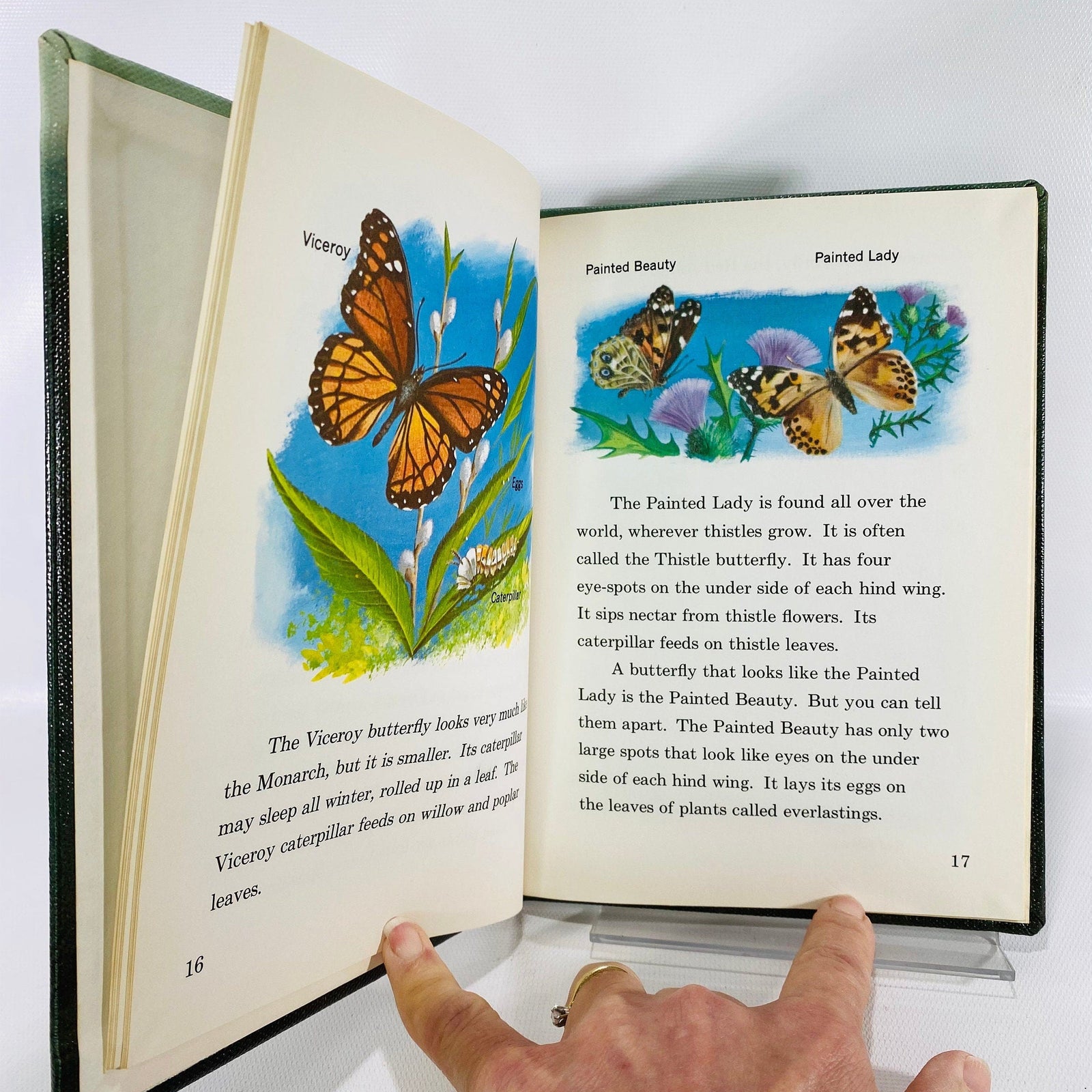 Butterflies by Jeanne Brouillette 1961 Follett Science BookVintage Book