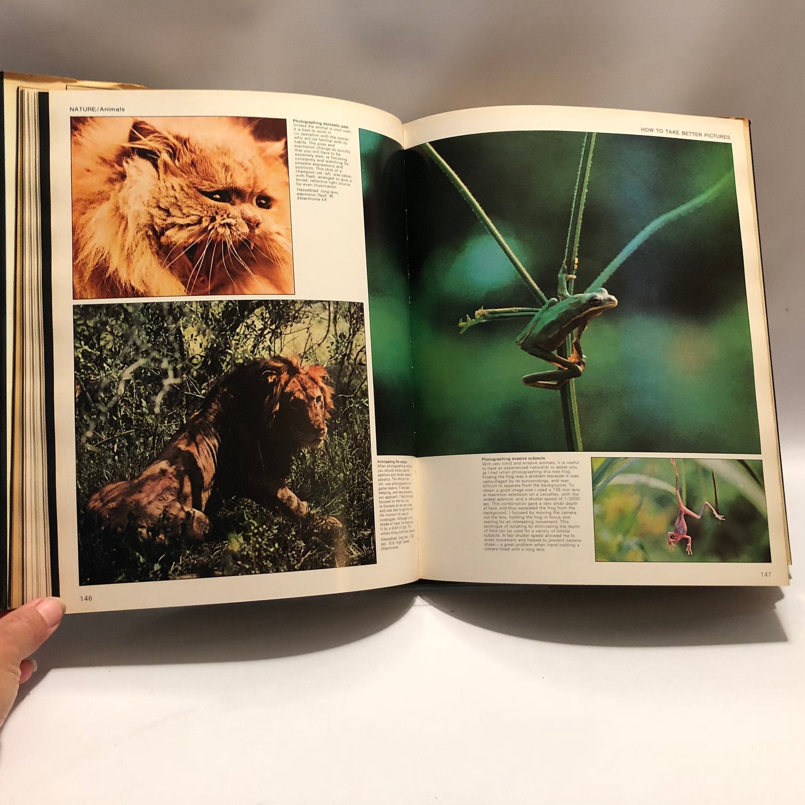 The Book of Photography How to See and Take Better Pictures by John Hedgecoe 1979 Vintage Book