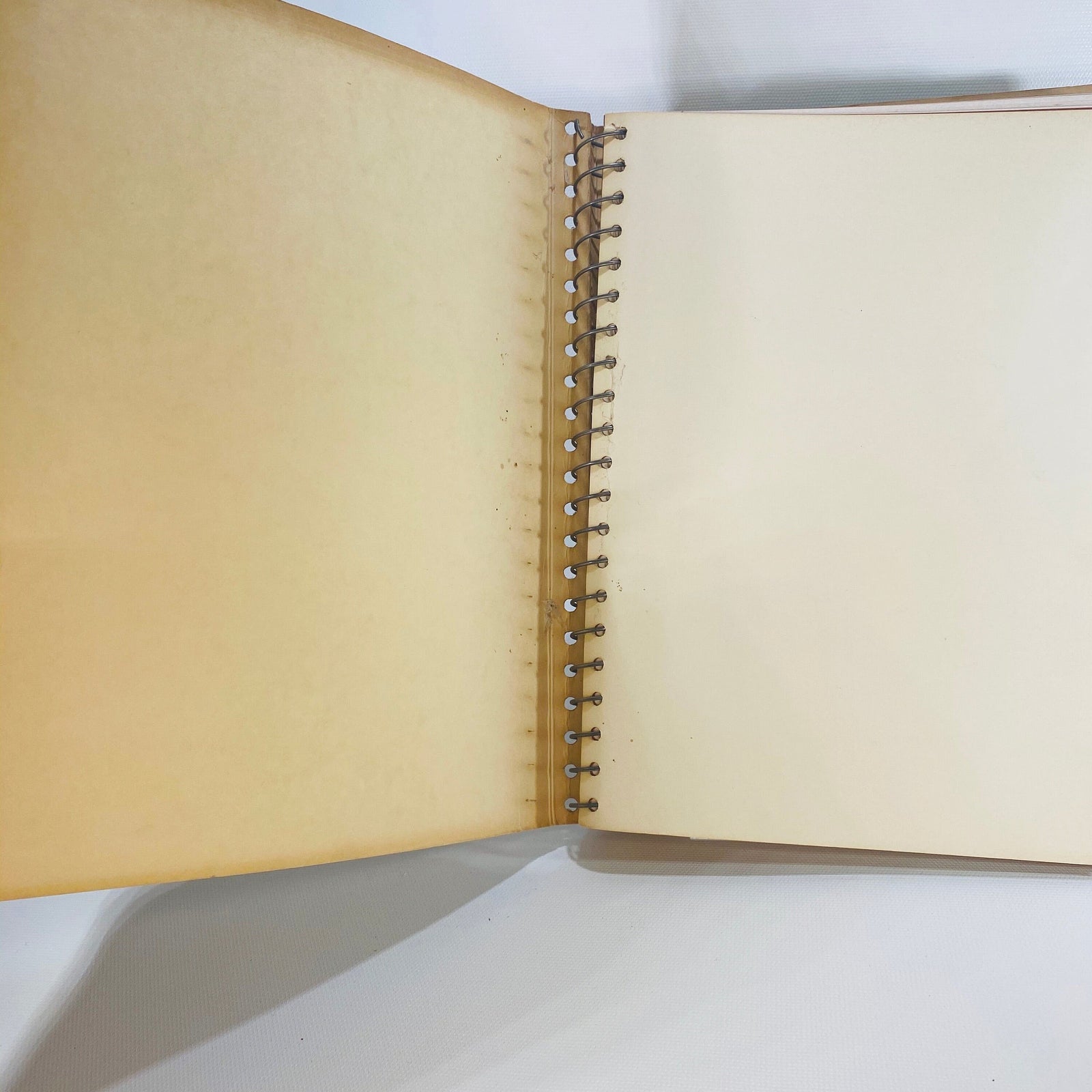 Sunset Western Garden Book by the Editorial Staff of Lane Publishing Co. 1954