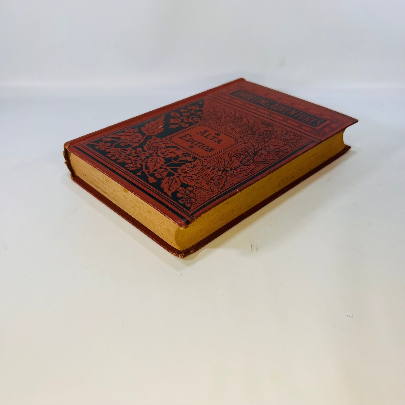 Thrilling Adventures by Land and Sea edited by James Brayman Alta Edition Porter & Coates
