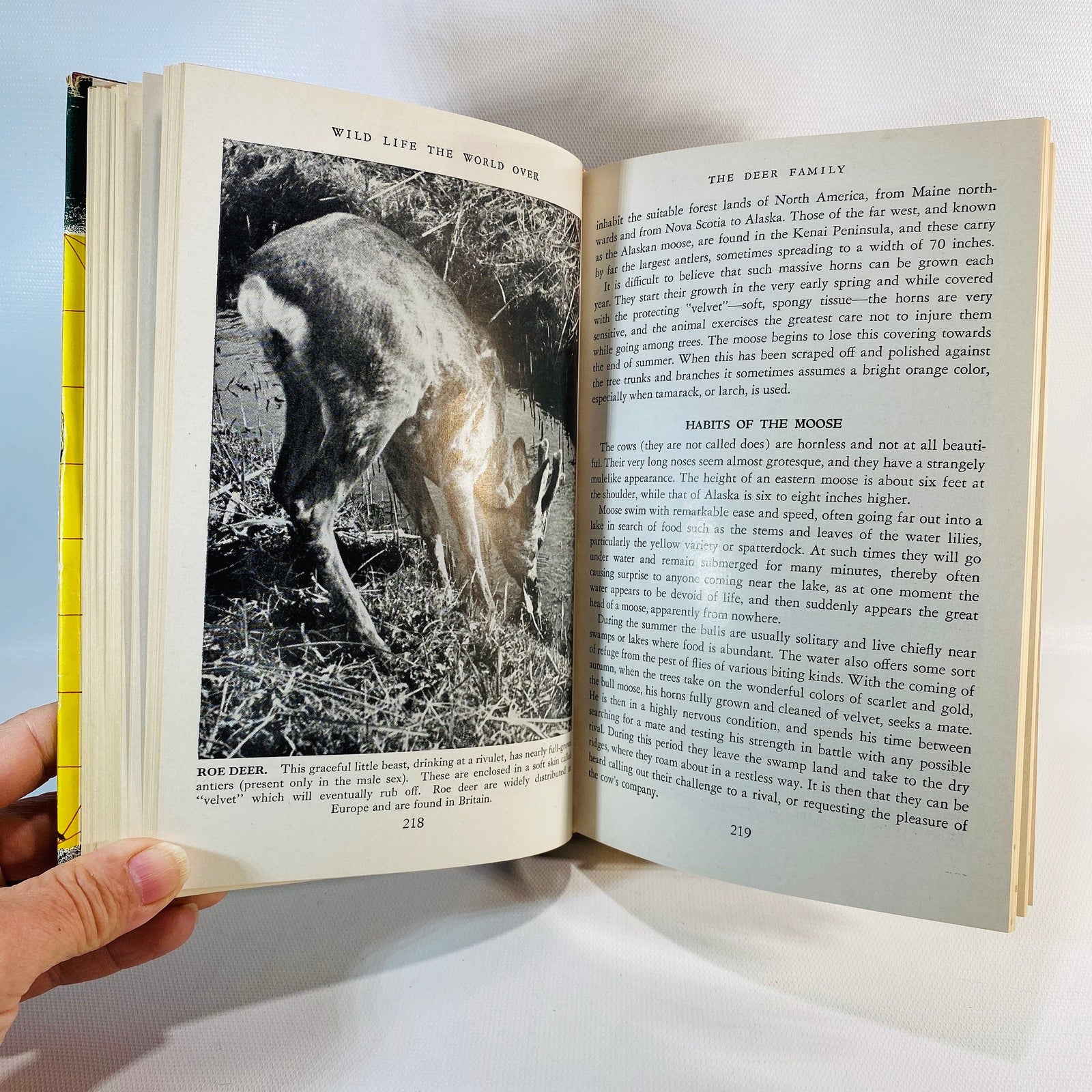 Wild Life the World Over written by 9 distinguished World-Traveled Specialists 1954