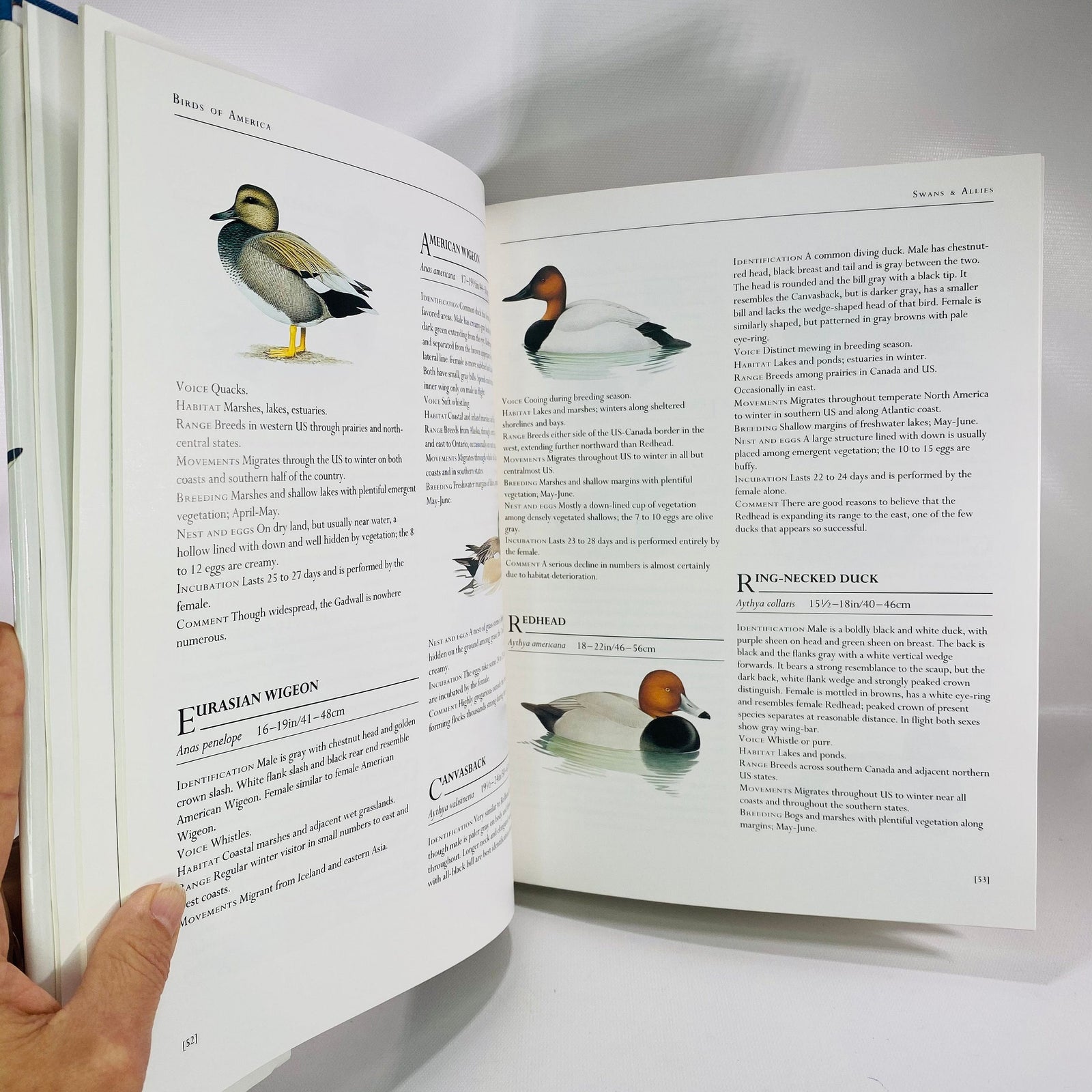 Birds of America by Frank Shaw 1990 Vintage Book