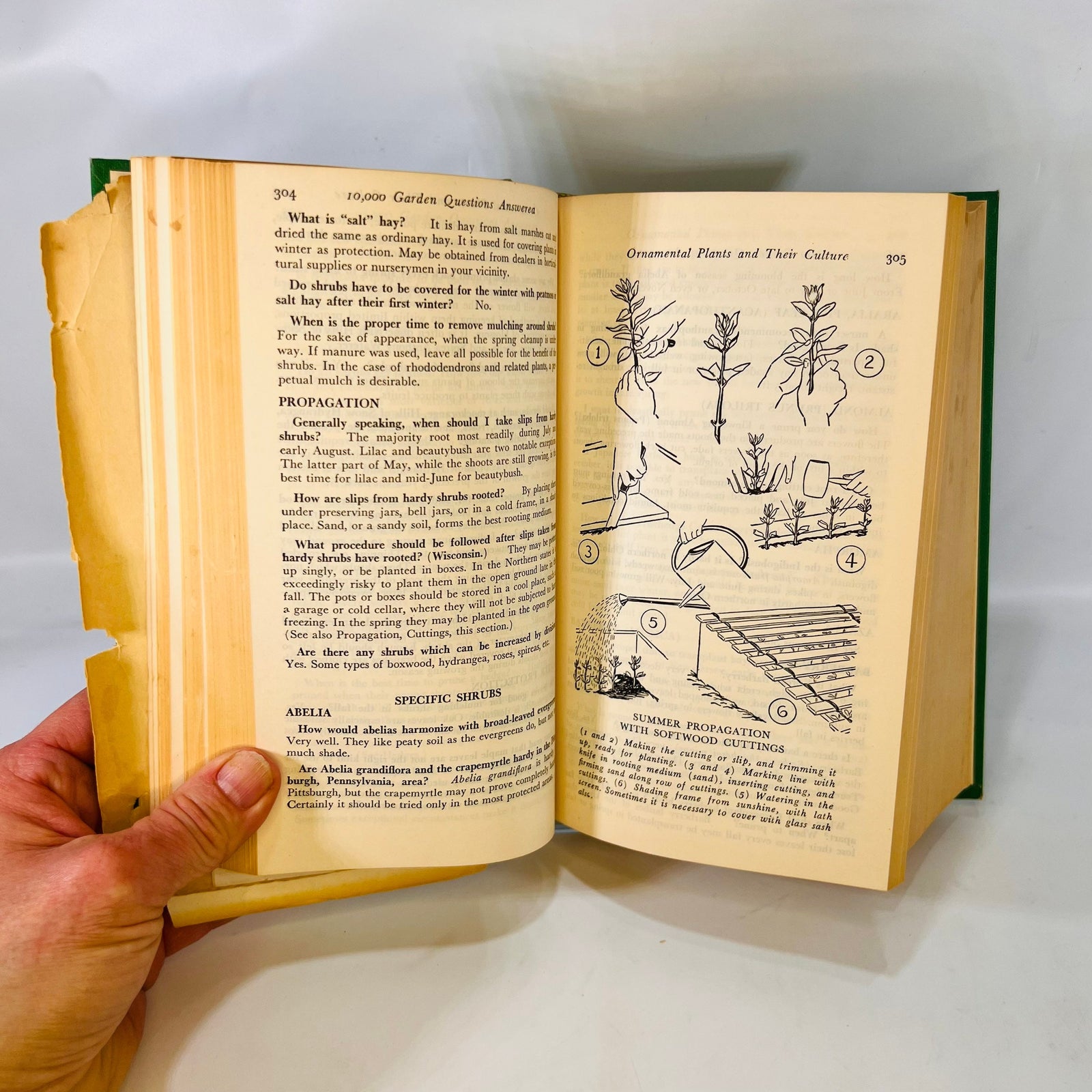10,000 Garden Questions answered by the Experts edited by FF Rockwell 1944 American Garden Guild Ilustrations Temperature & Planting Maps