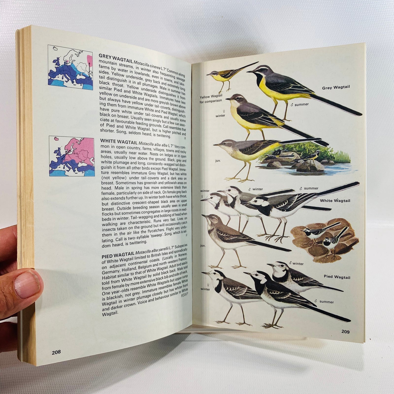 The Hamlyn Guide to Birds of Britain and Europe by Bertel Bruun 1970