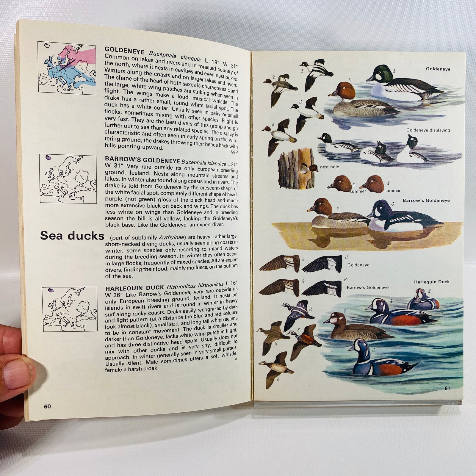 The Hamlyn Guide to Birds of Britain and Europe by Bertel Bruun 1970