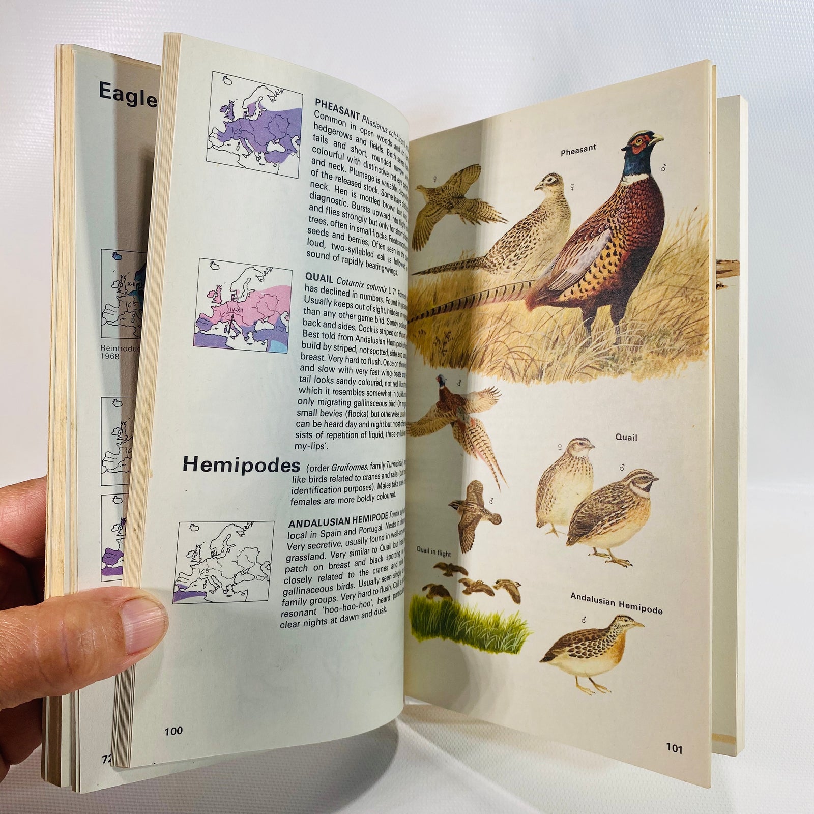 The Hamlyn Guide to Birds of Britain and Europe by Bertel Bruun 1970