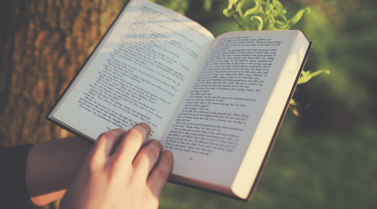 bright nature meadow  books