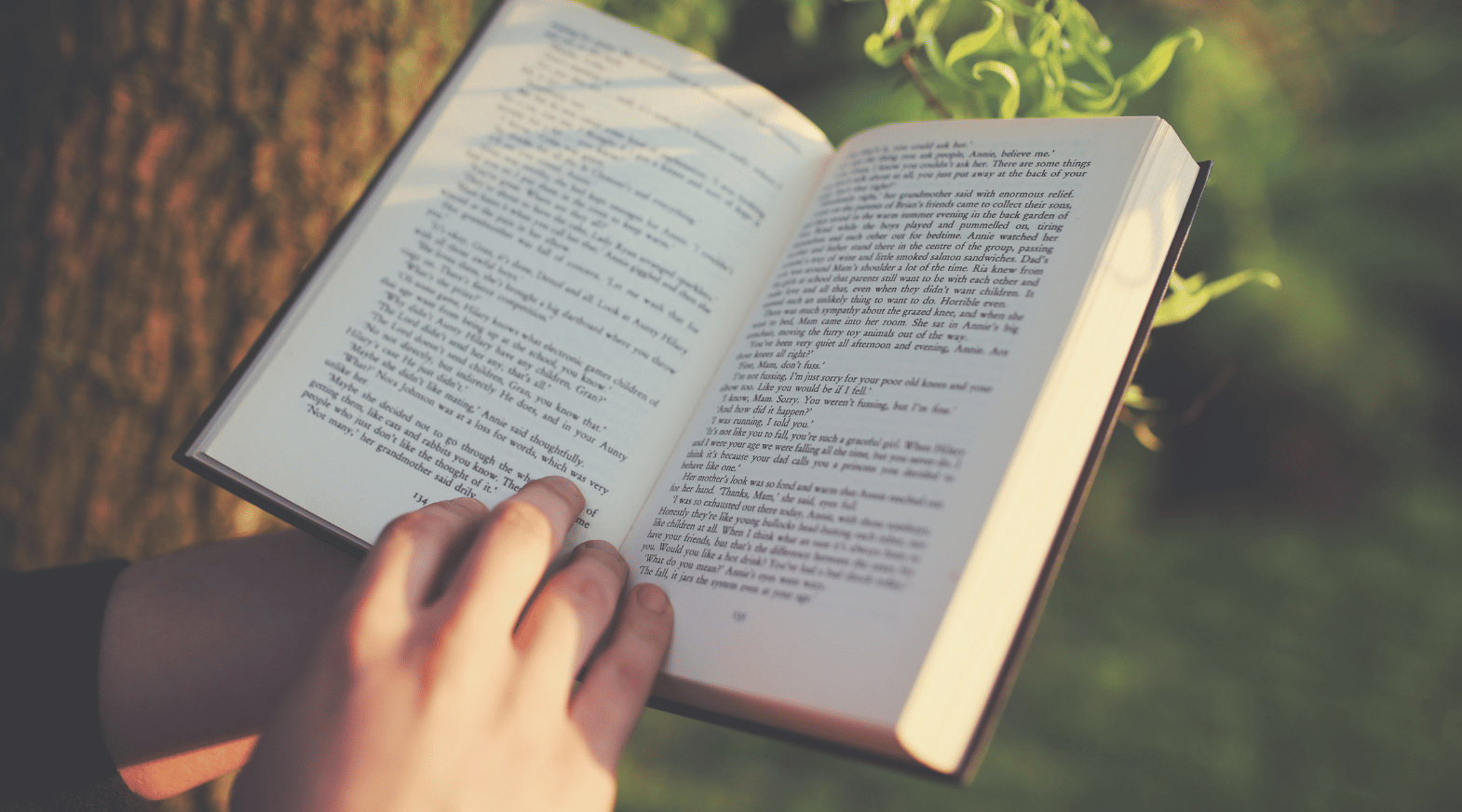 bright nature meadow  books