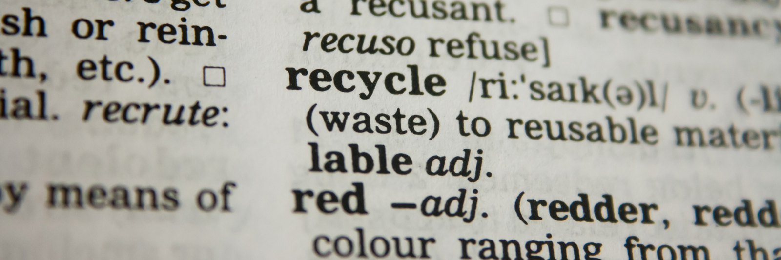 Blog Can You Be Sustainable as An Avid Reader?-Reading Vintage