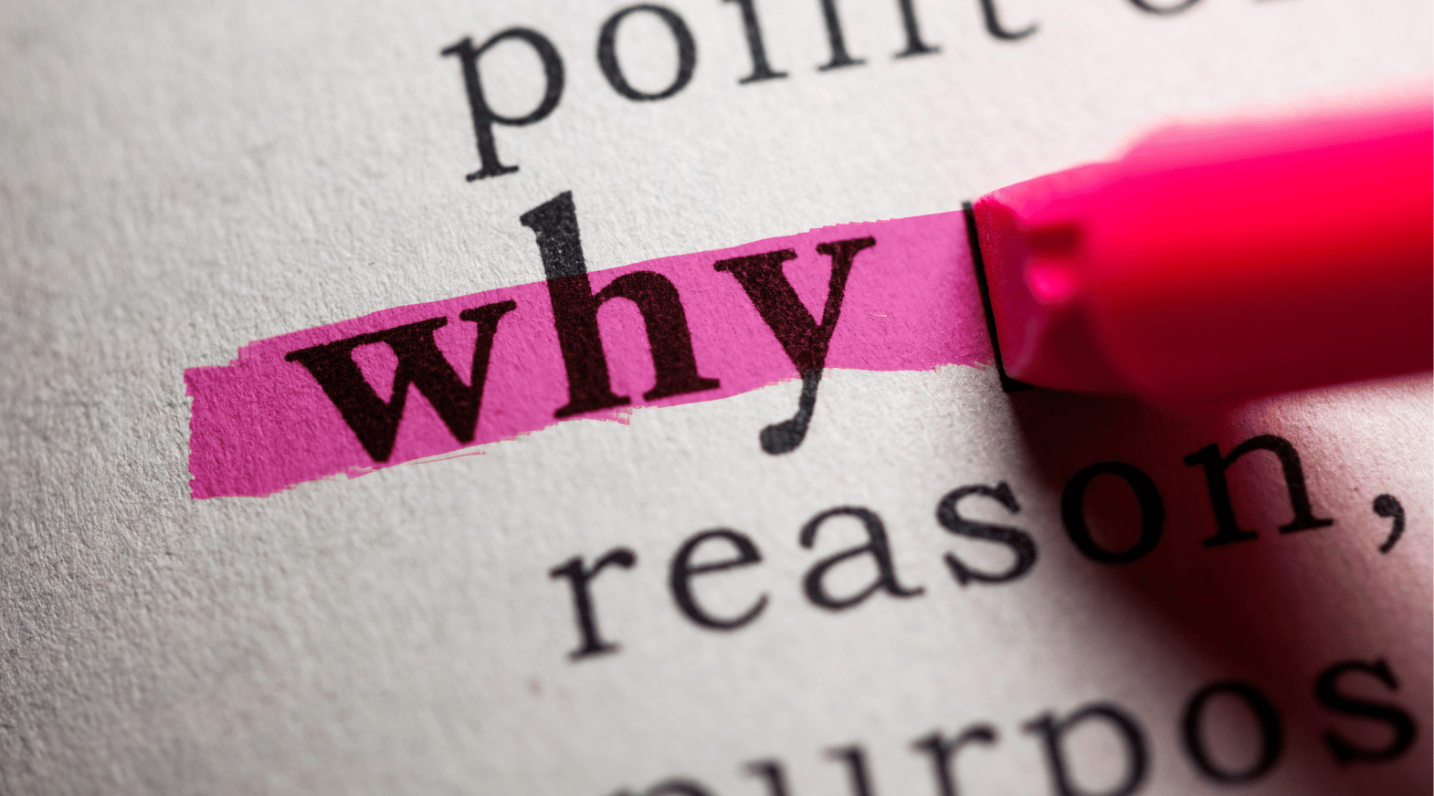 why is book reading is important?