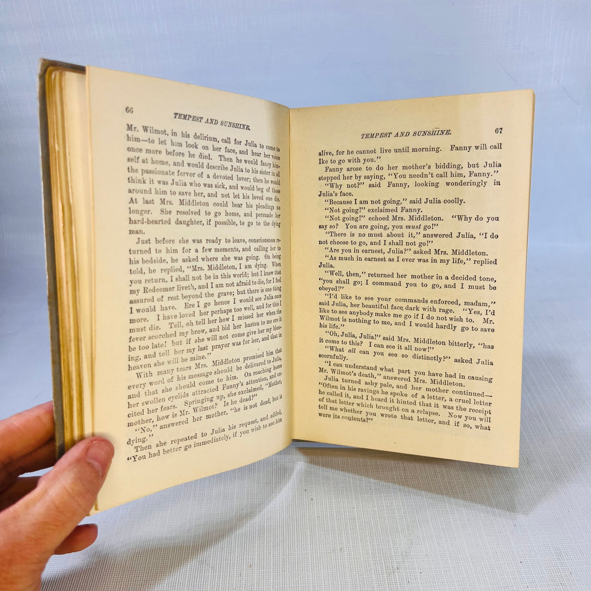 Tempest and Sunshine or Life in Kentucky by Mrs. Mary J. Holmes The Federal Book Company