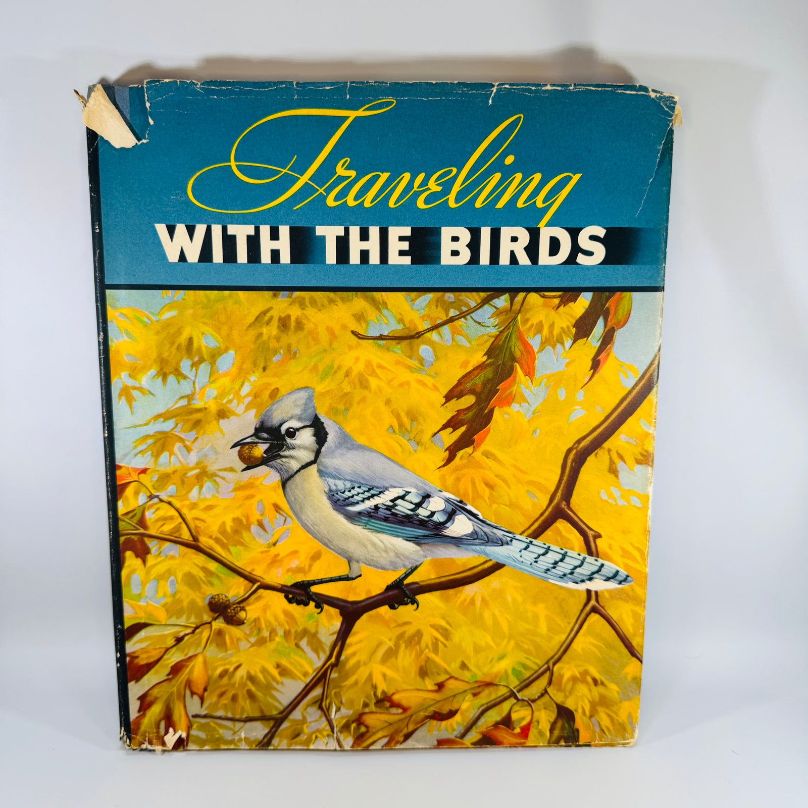 Vintage Bird Migration Illustrated Book — Traveling with the Birds (1933) — Rudyerd Boulton | Walter Alois Weber Art, Ornithology / Natural History