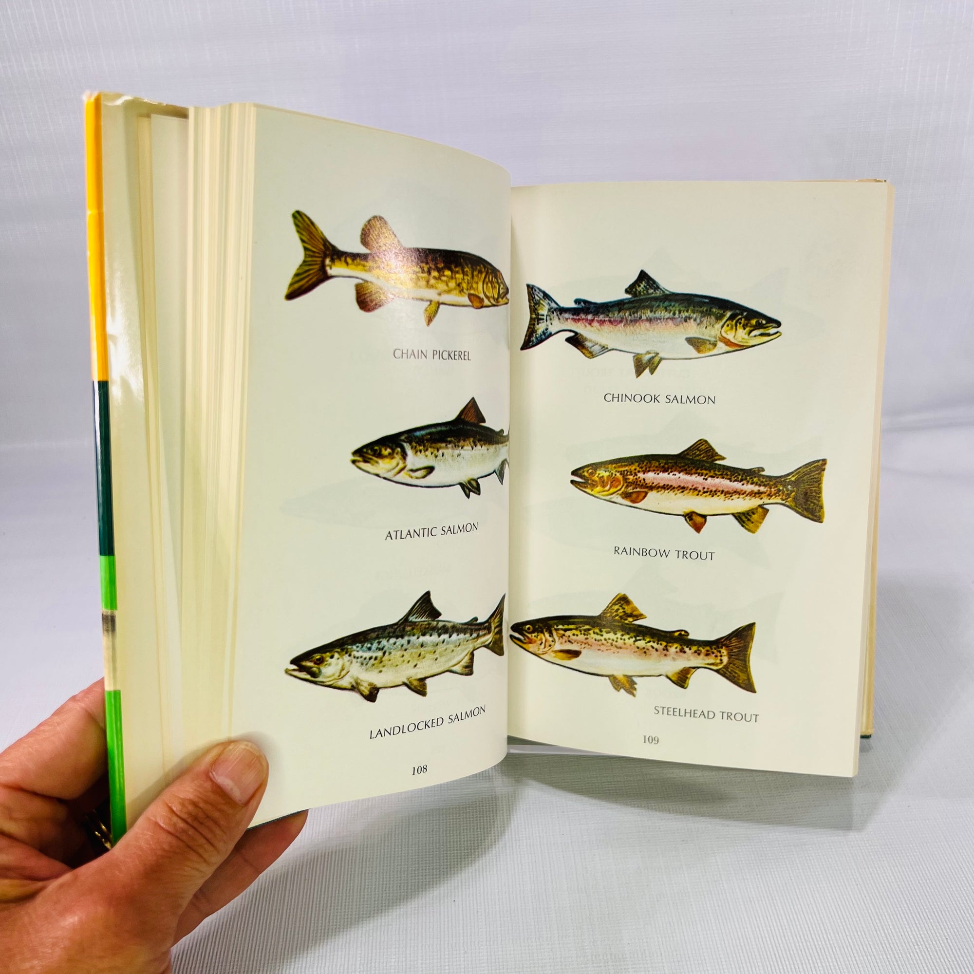 Sportsman's Guide to Game Fish a Field Book to Fresh and Saltwater Species by Byron Dalrymple 1968 An Outdoor Life Book