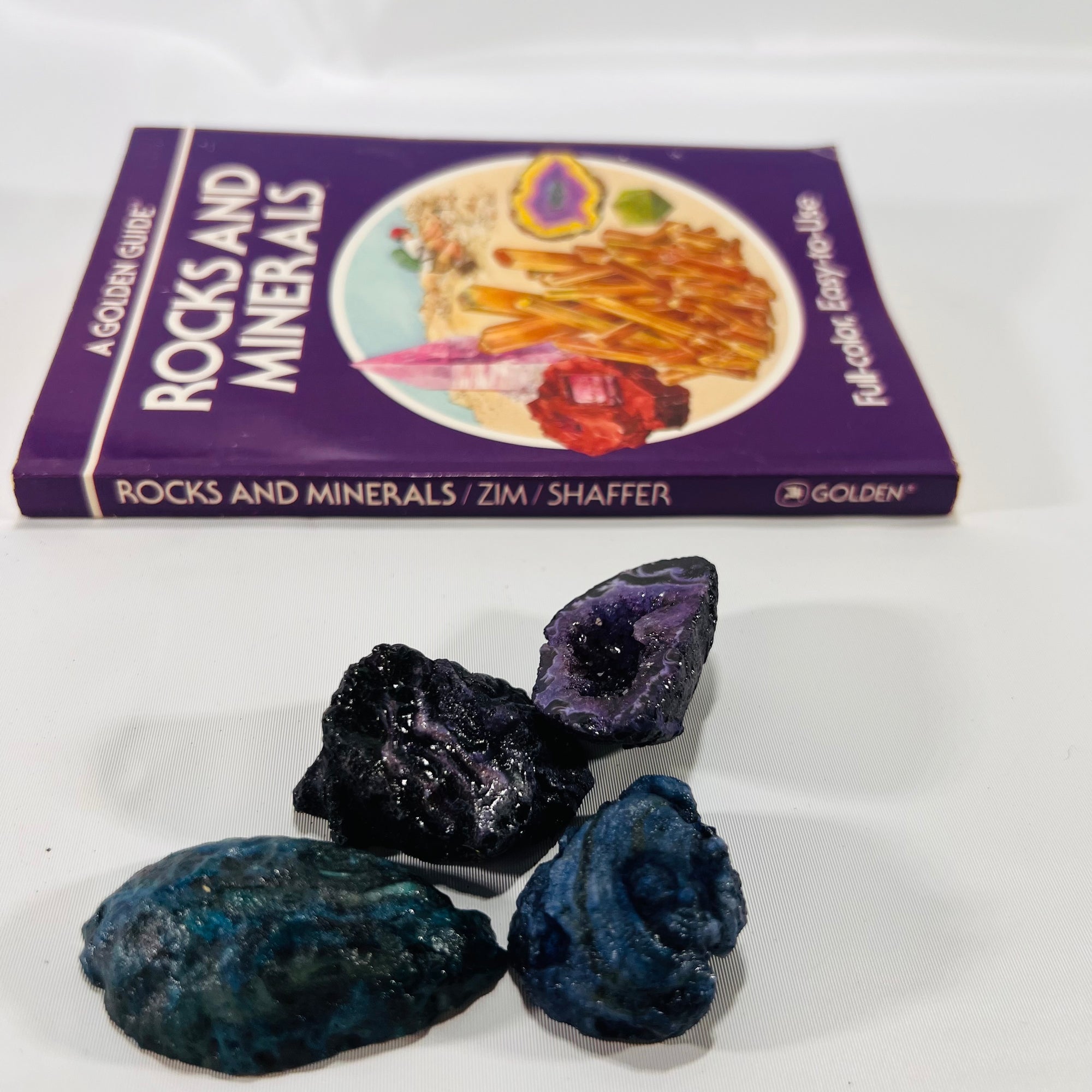 A Golden Guide Rocks and Minerals by Herbert S. Zim with Four Rocks Found with Book