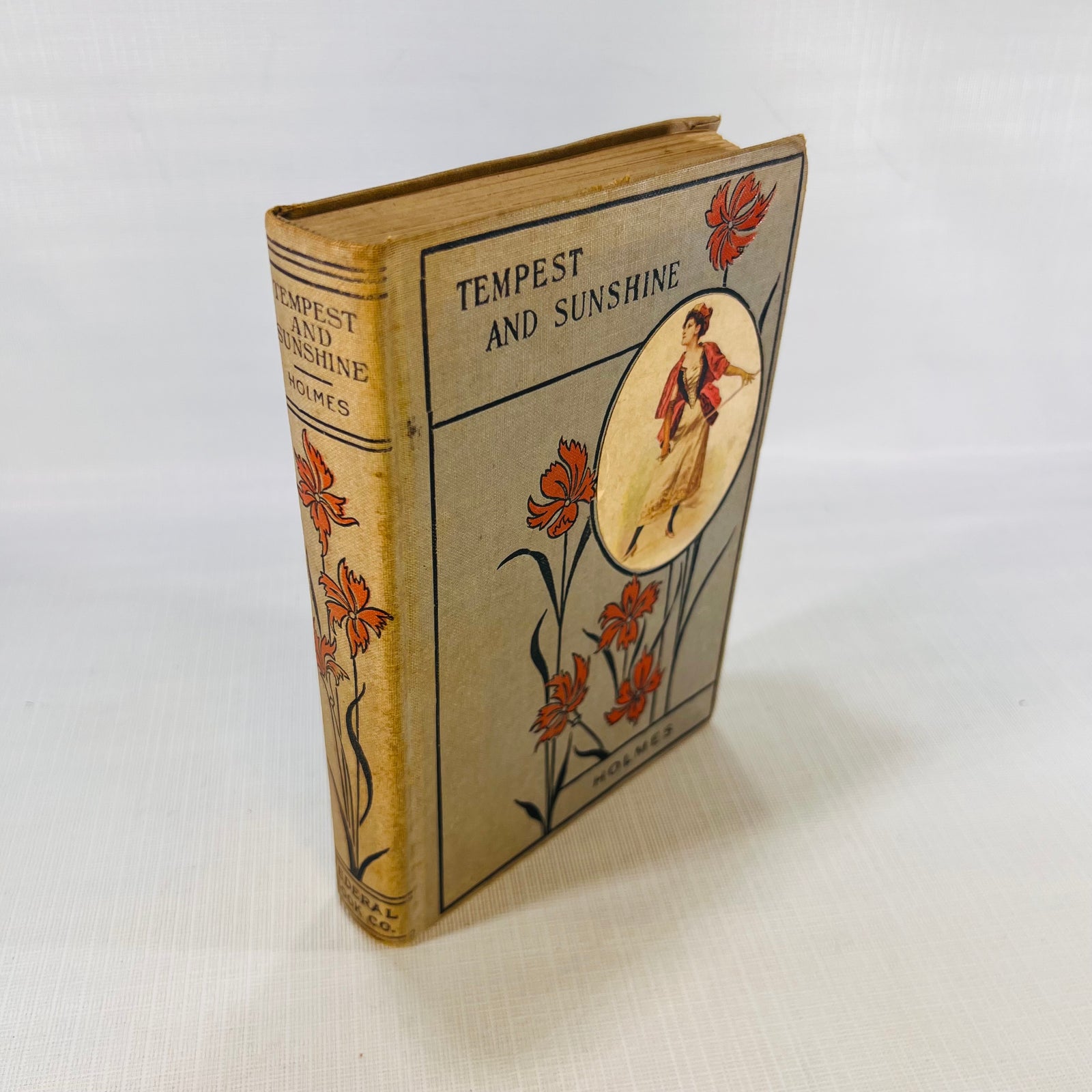 Tempest and Sunshine or Life in Kentucky by Mrs. Mary J. Holmes The Federal Book Company