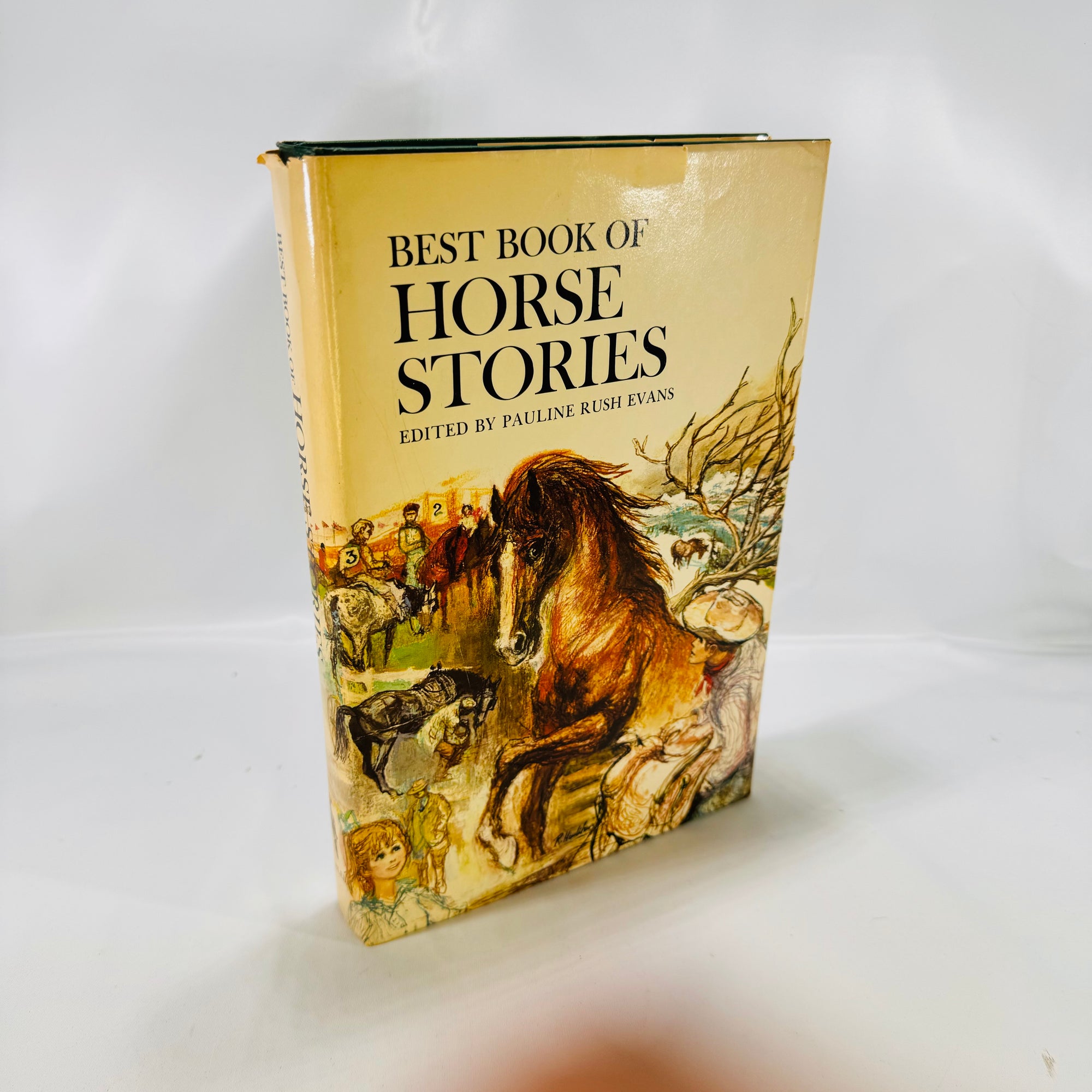 Best Book of Horse Stories edited by Pauline Rush Evans 1964 Doubleday & Company, Inc