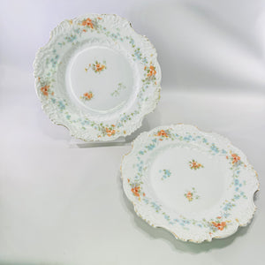 Hermann Ohme Eglantine Plates Set of 2 Peach Blue Floral