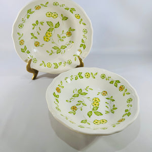 Sears Petite Flora 4009 Coupe Soup Bowls 1970s Set of 2