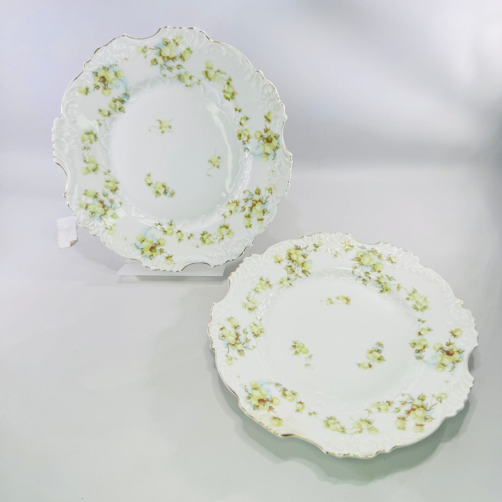 Hermann Ohme Eglantine Plates Set of 2 Green Blue Floral