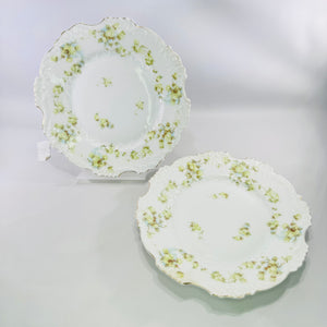 Hermann Ohme Eglantine Plates Set of 2 Green Blue Floral