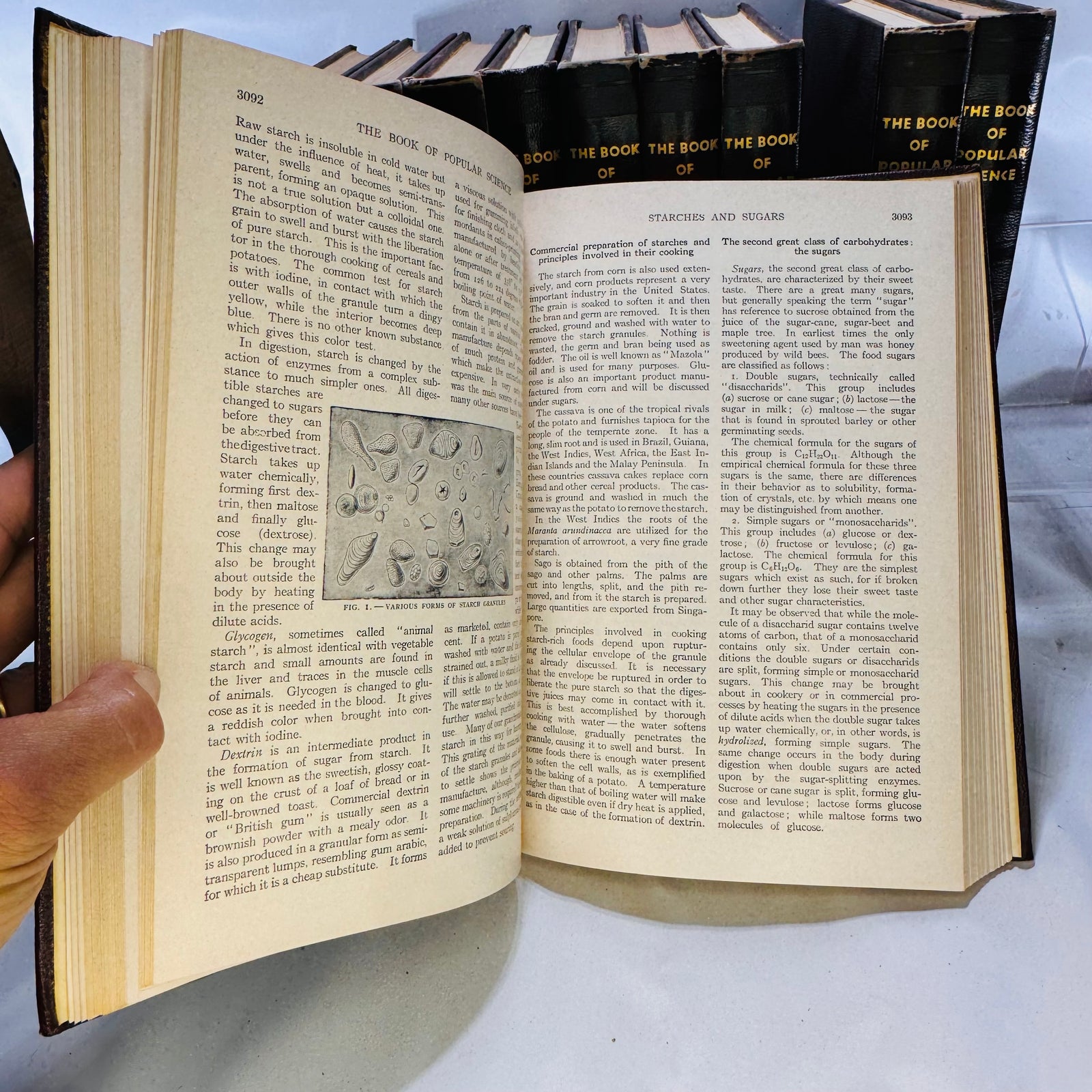 The Book of Popular Science Set by The Grolier Society Inc. 1954 Ten Volumes Hardcover