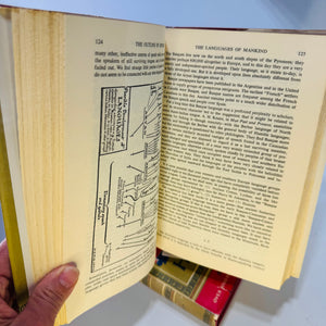 The Outline of History — H.G. Wells Two-Volume Set with Maps and Illustrations