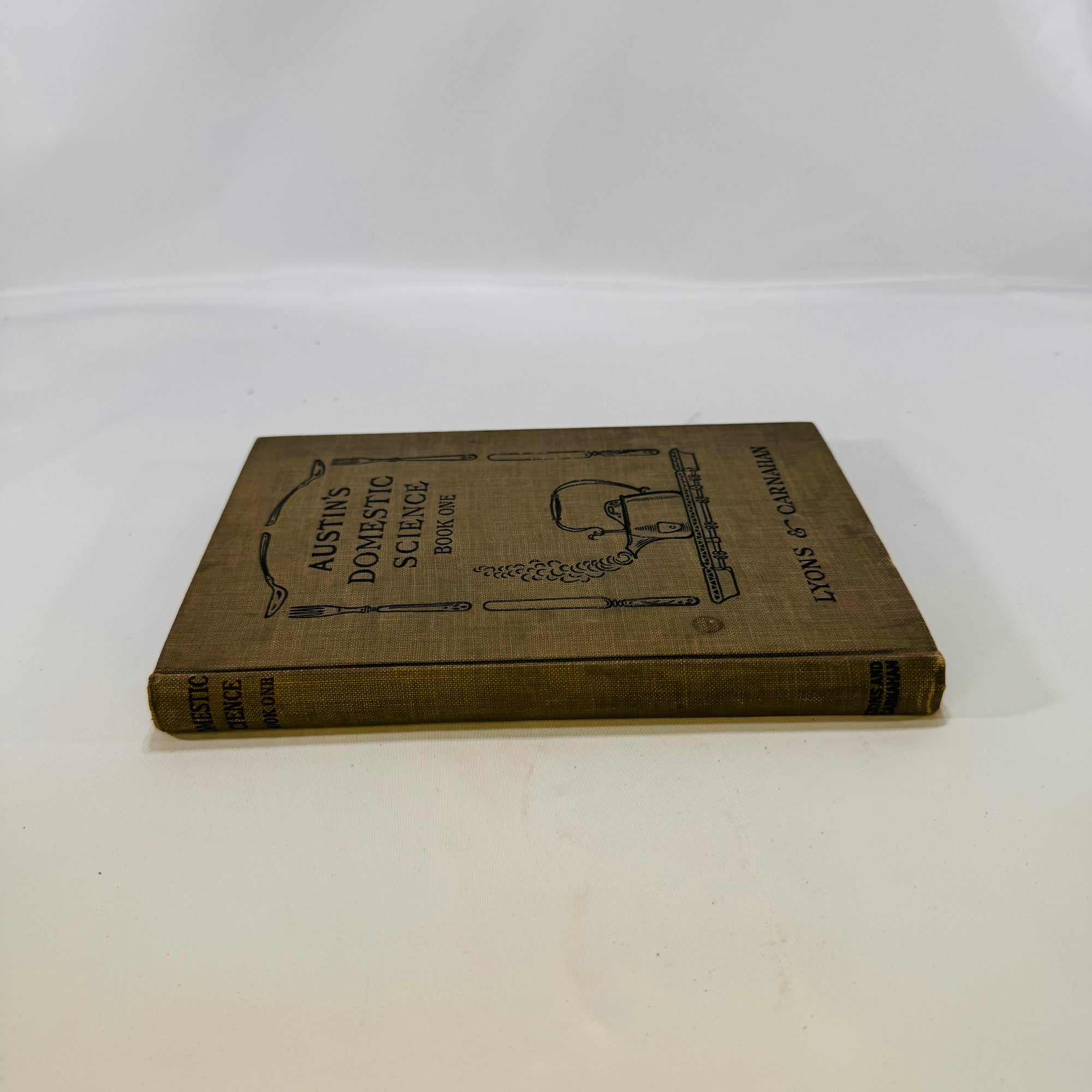 Austin's Domestic Science Book One by Bertha J. Ausitn 1914 Lyons & Carnahan