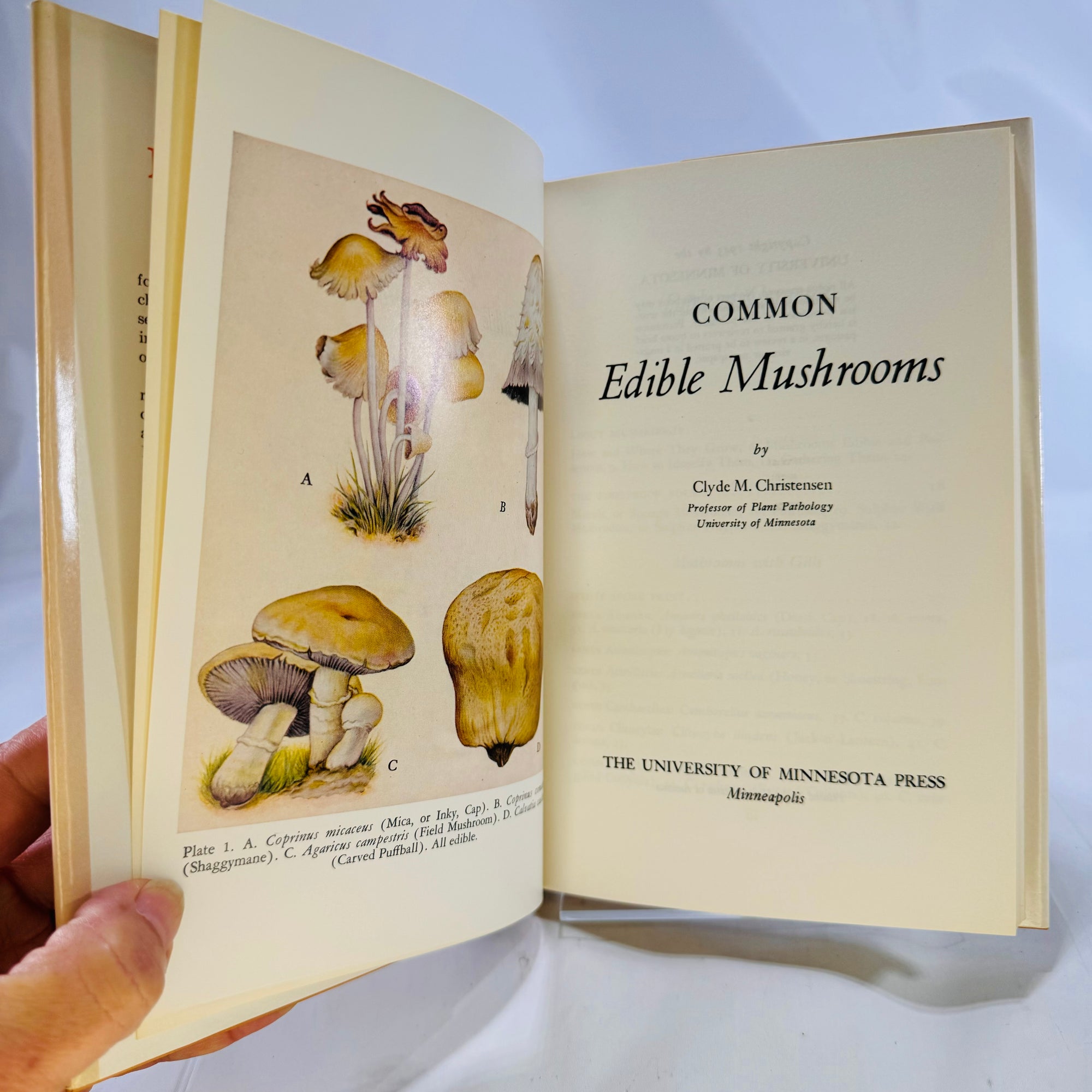 Common Edible Mushrooms by Clyde M. Christensen 1943 University of Minnesota Press