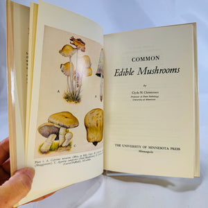 Common Edible Mushrooms by Clyde M. Christensen 1943 University of Minnesota Press