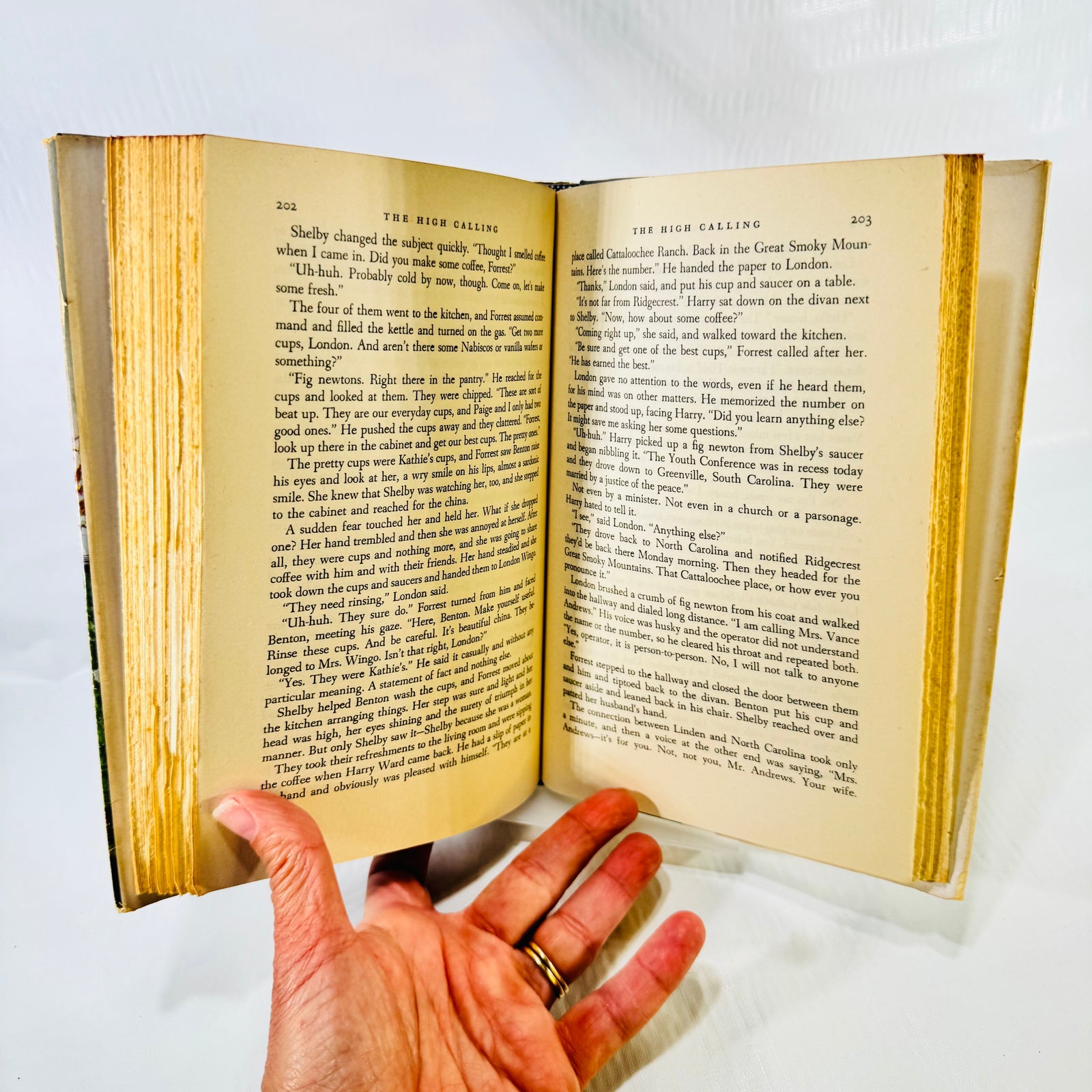 Interior pages 202 and 203