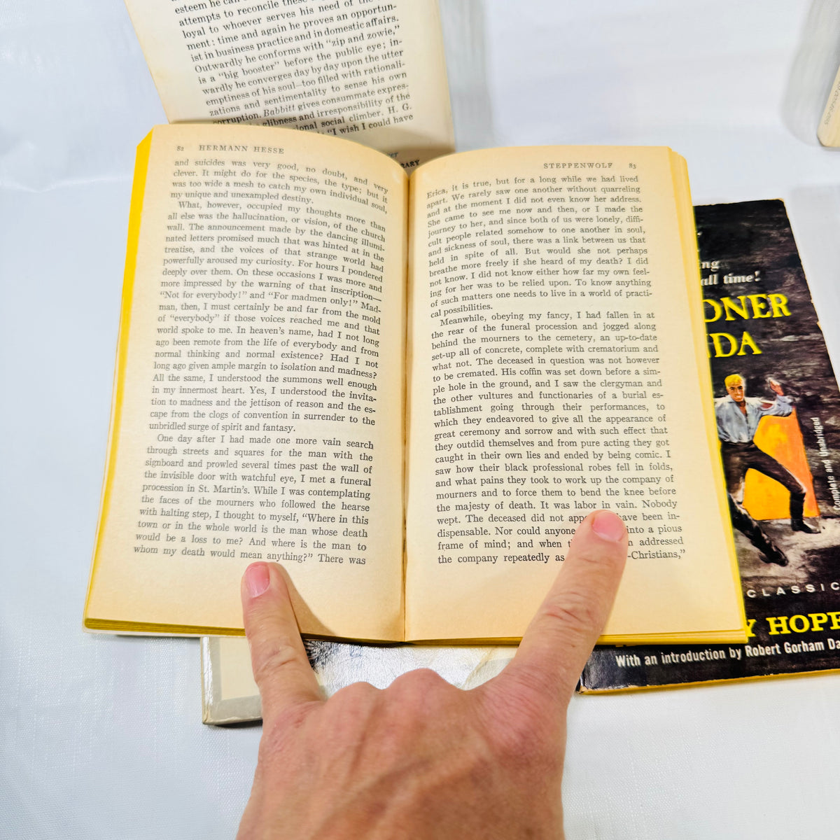 Steppenwolf interior pages