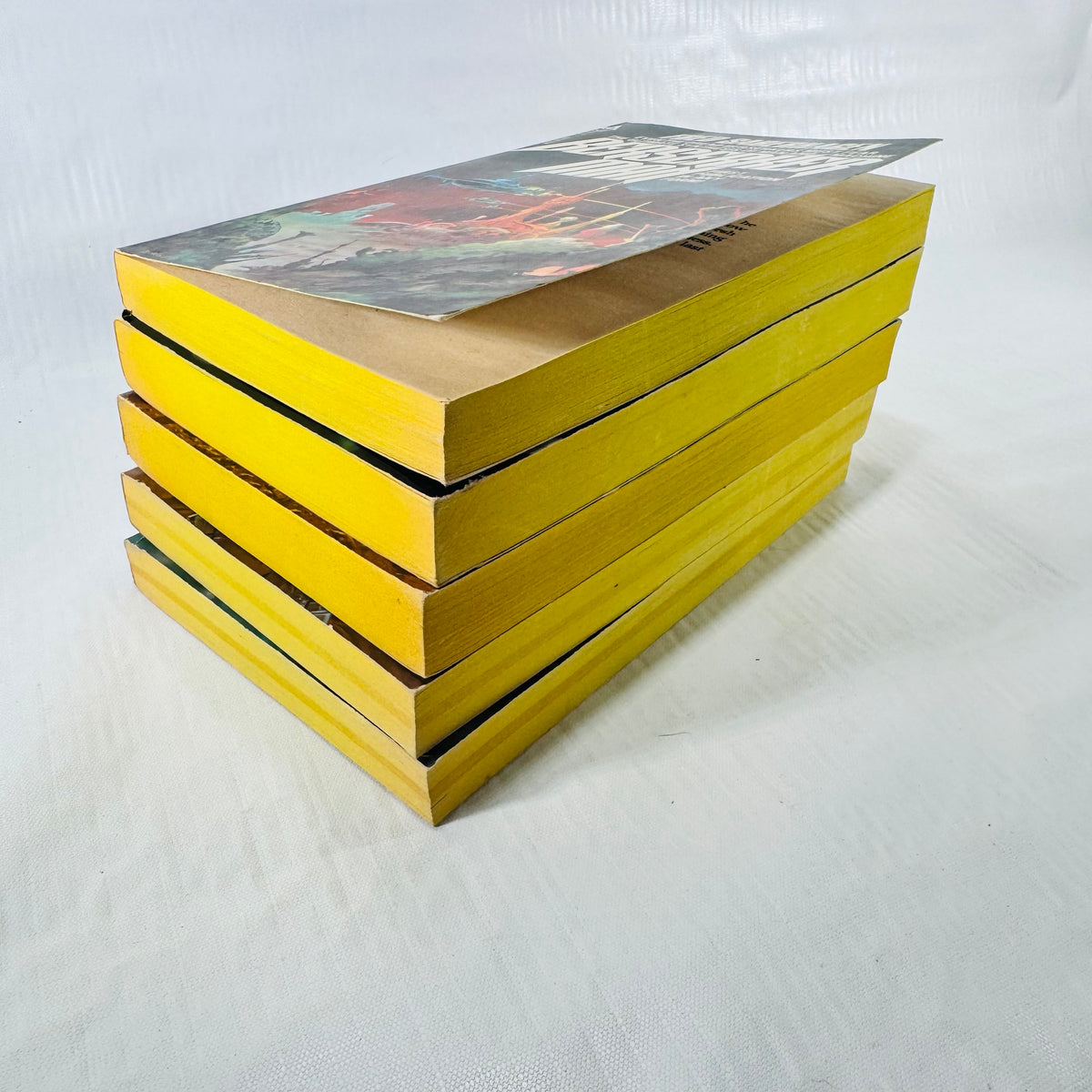 Berserker paperback bundle stacked page edges