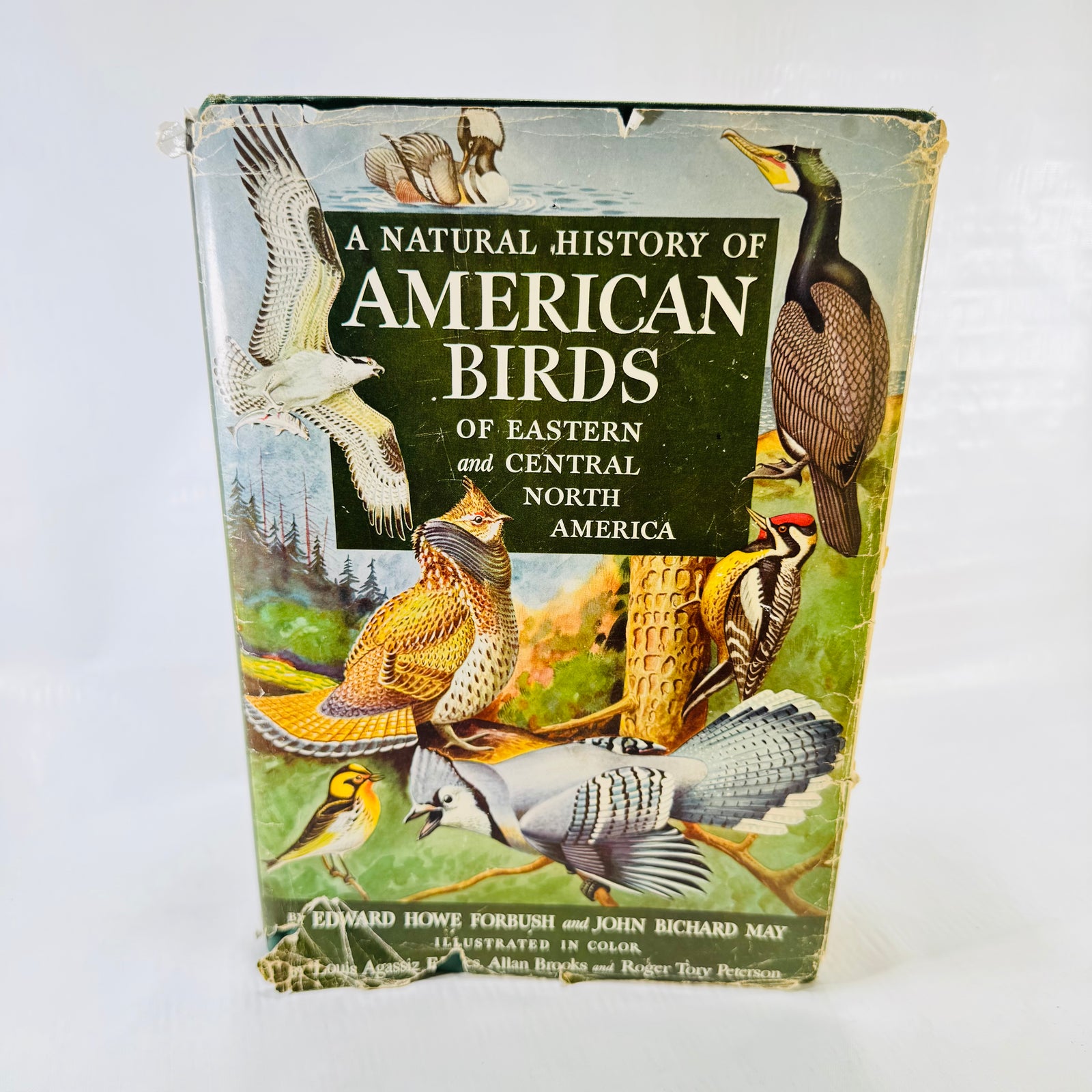 American Birds illustrated dust jacket with edge tears and losses
