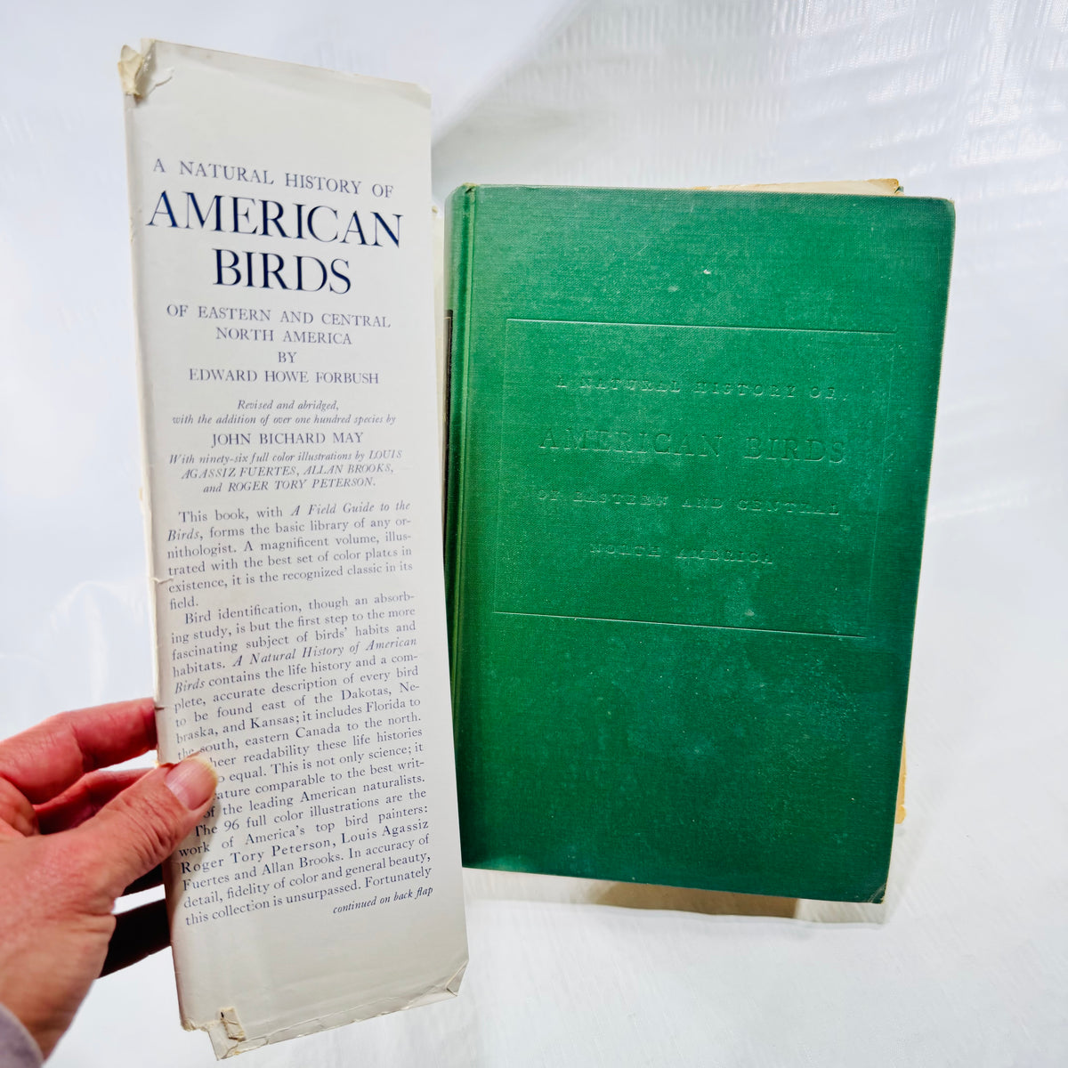 American Birds green cloth front board and jacket flap