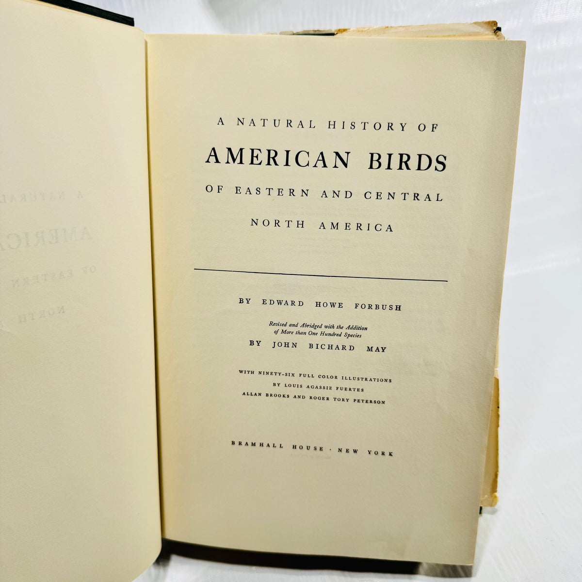 American Birds title page and illustrator credits
