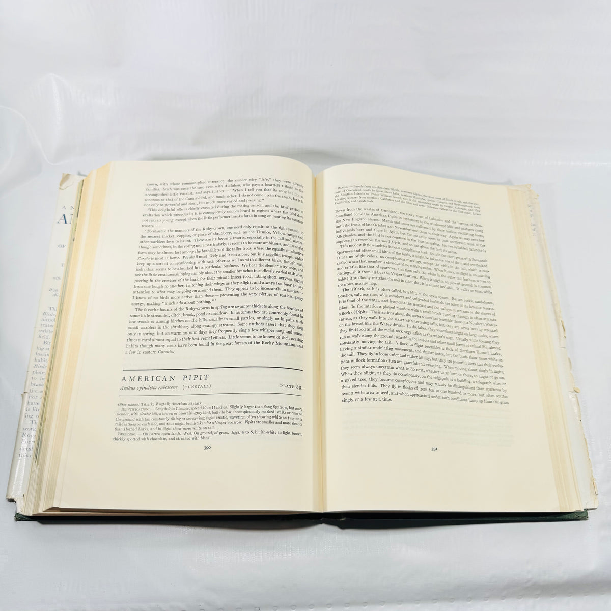 American Birds species accounts, pages 390 and 391