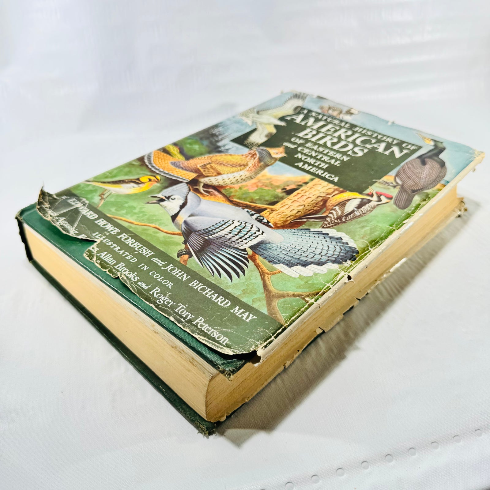 American Birds angled view showing jacket wear and page edges