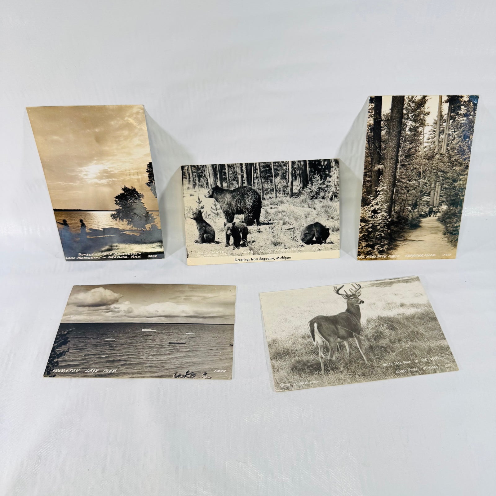 Michigan Postcards 1940s Bundle of 5, Grayling, Engadine, Houghton Lake, Blaney Park