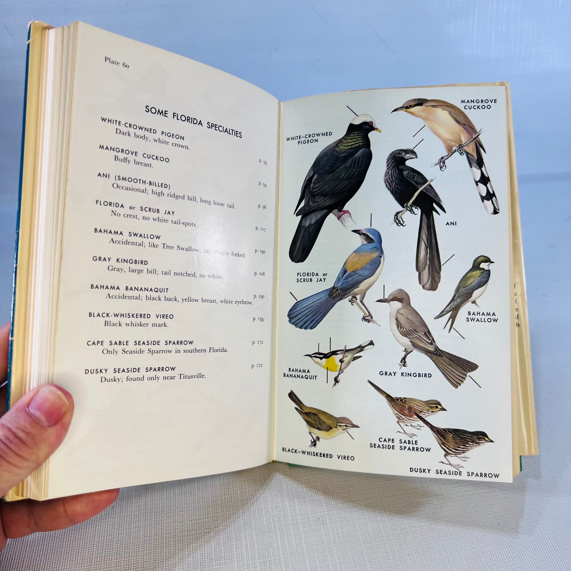 A Field Guide to the Birds Eastern Land and Water Birds by Roger Peterson 1947 Part of the Peterson Guide Series Houghton Miffin Company