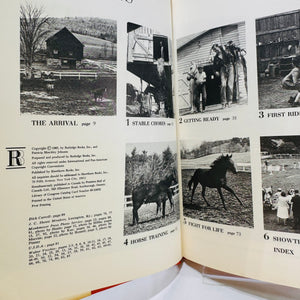 Horse Farm Magic Months of Work and Play by Pat Johnson 1965 Hawthorn Books Inc