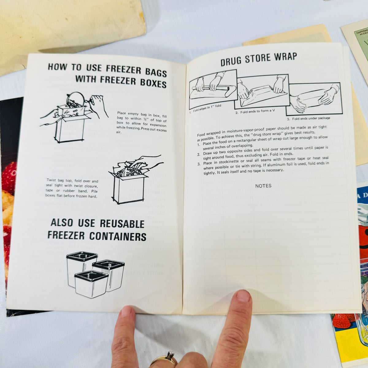 Home freezing diagrams and blank notes grid