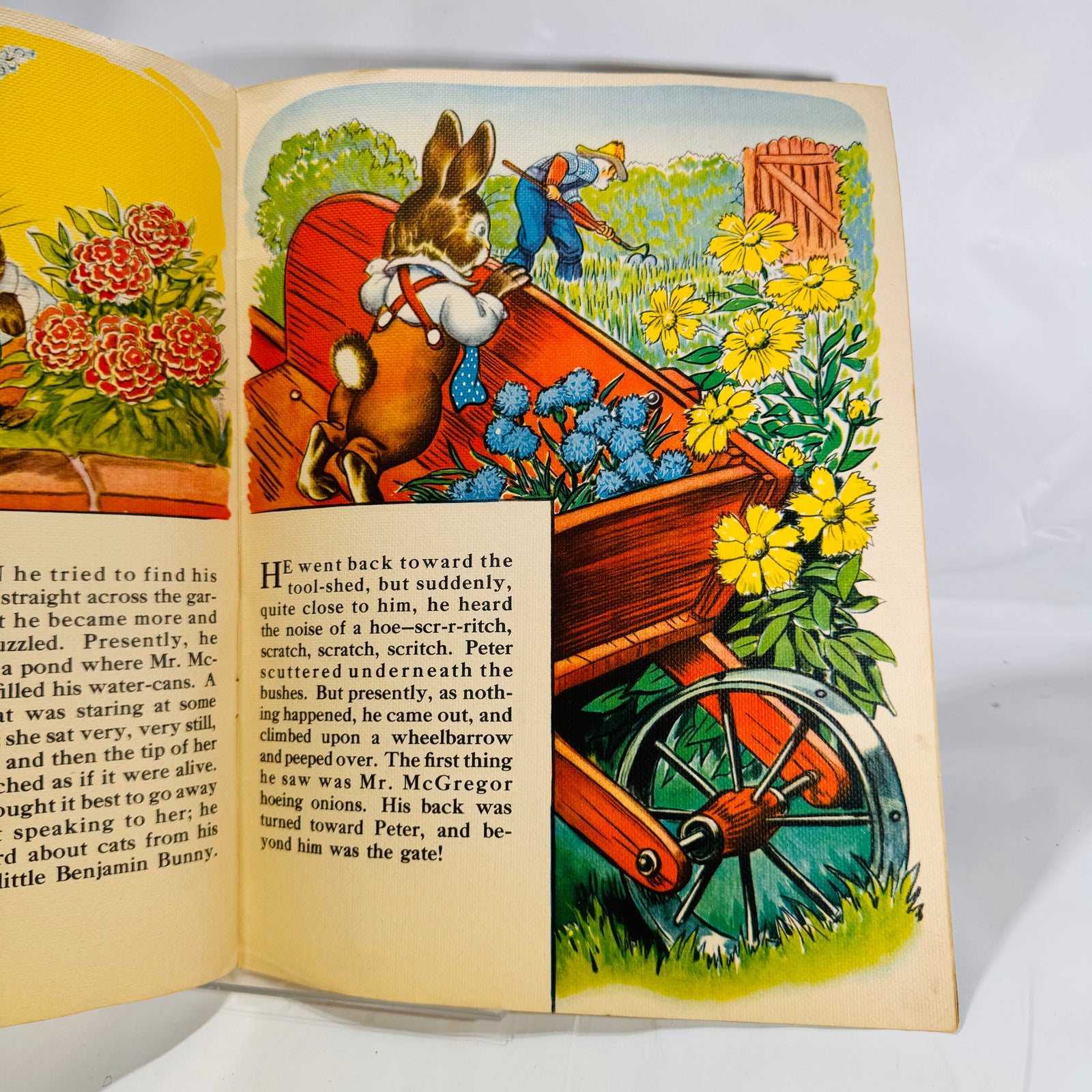 Peter on a wheelbarrow in the garden, The Tale of Peter Rabbit 1943 Merrill